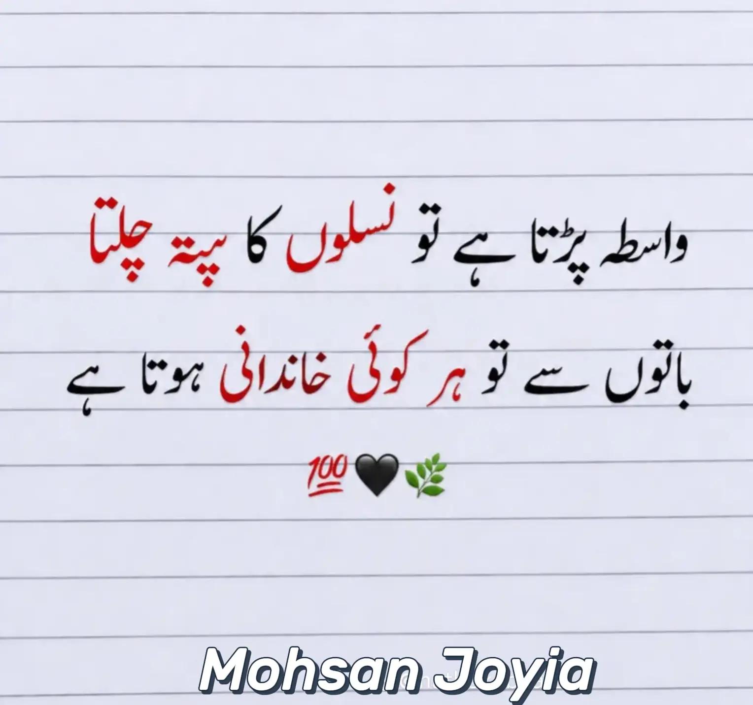 @🇵🇰M.O.H.S.A.N.J.O.Y.I.A 🇵🇰
