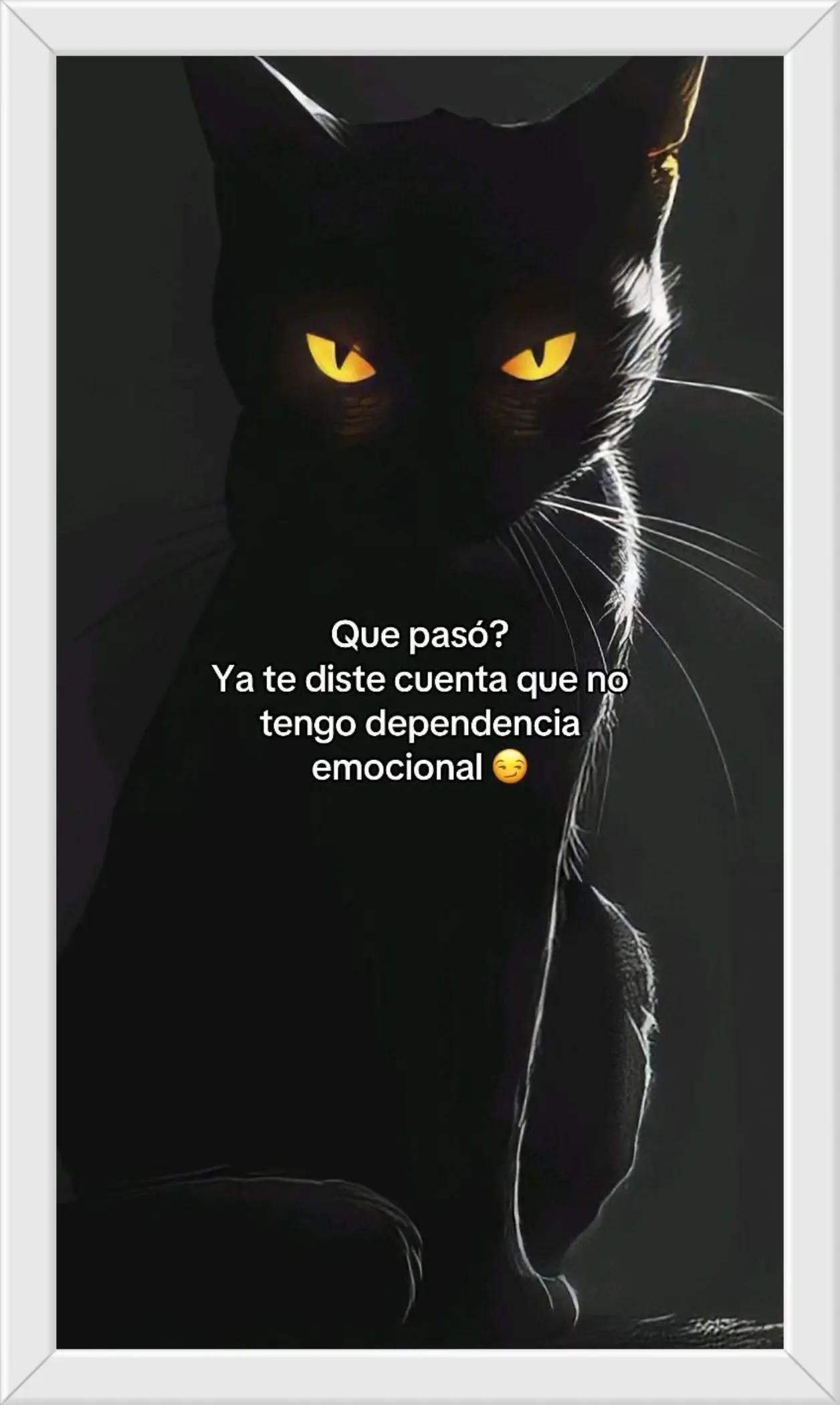 @QullaquitaDelia