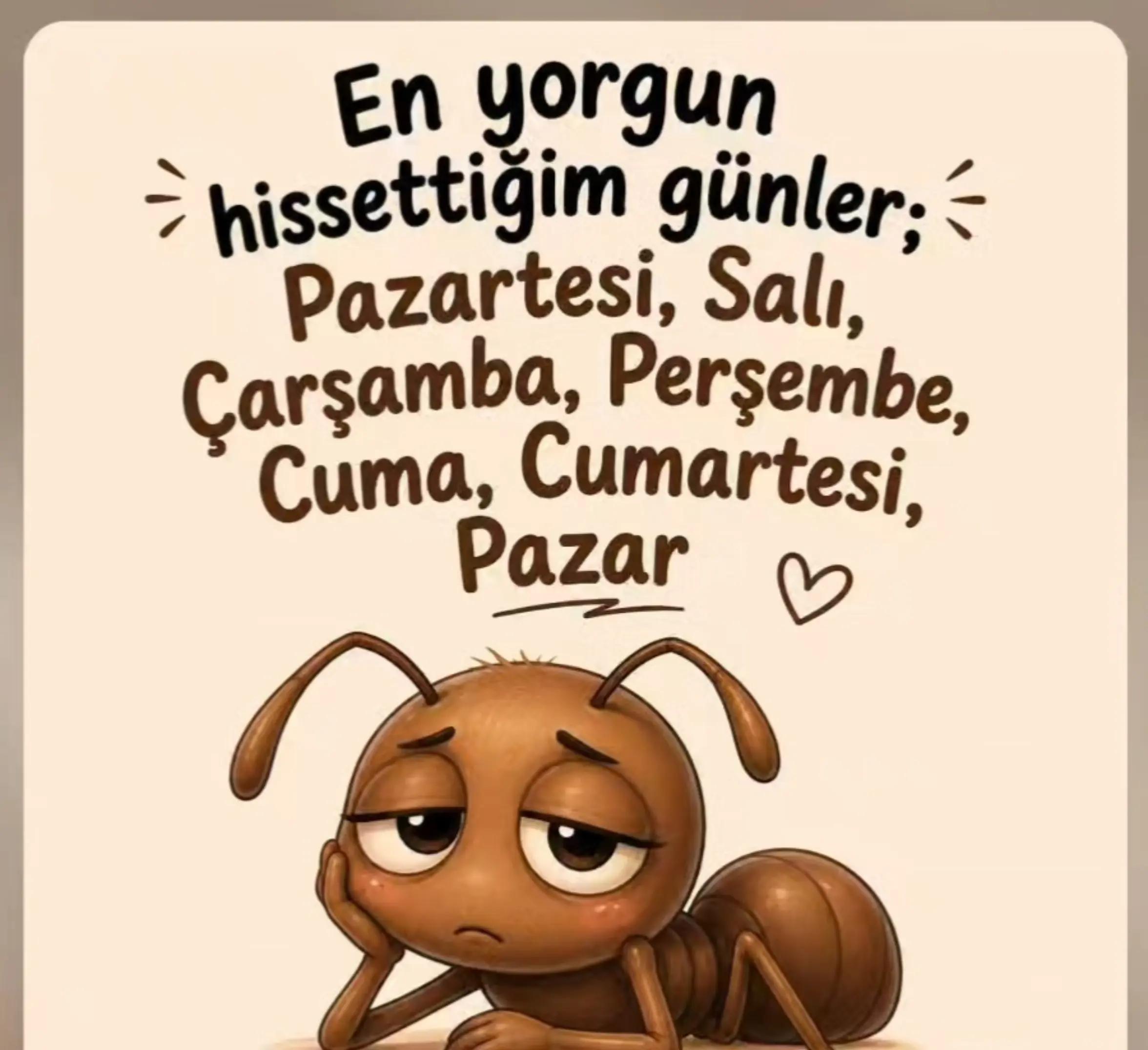 @Hediye Atasoy