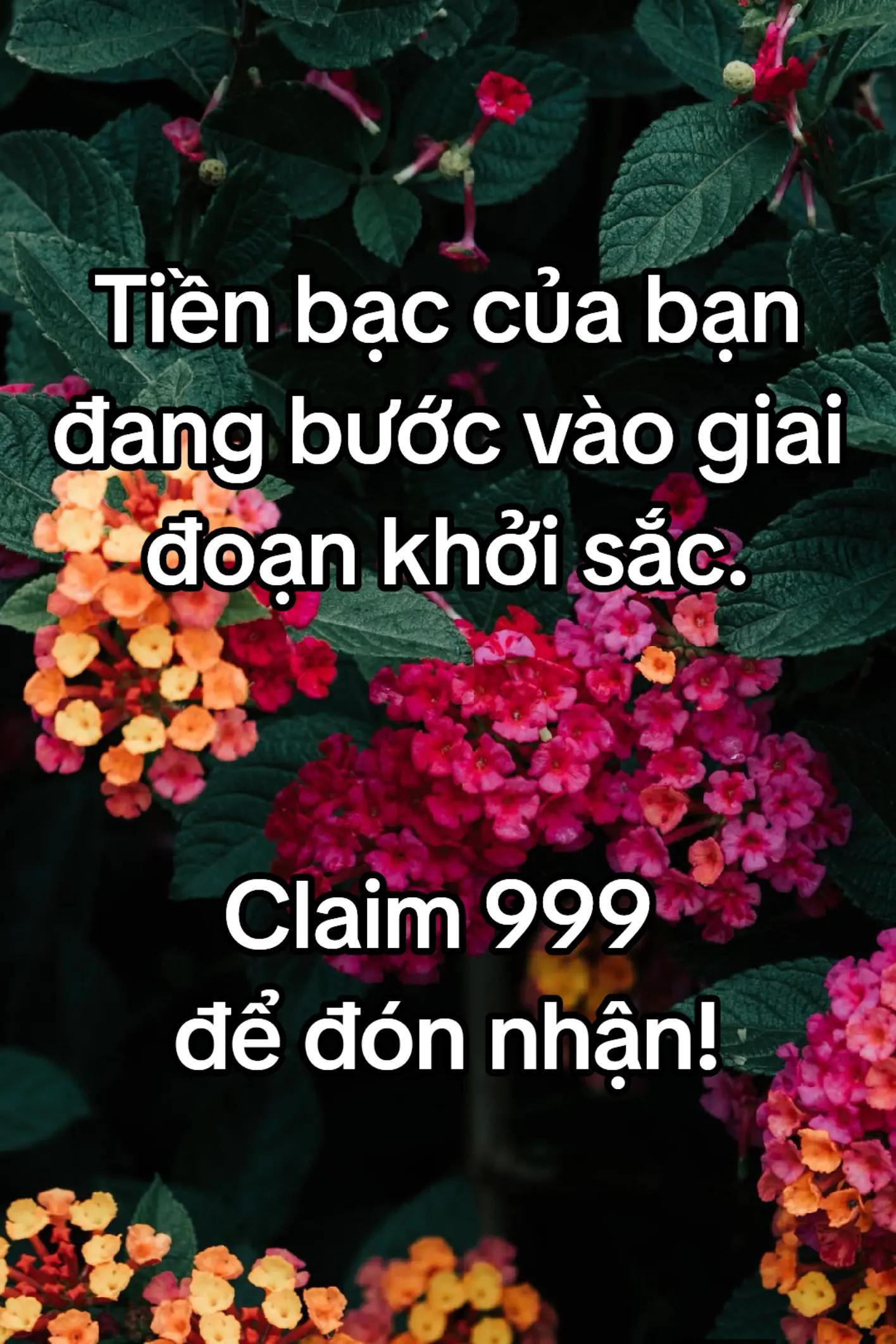 @HẢI TRUNG KIM.