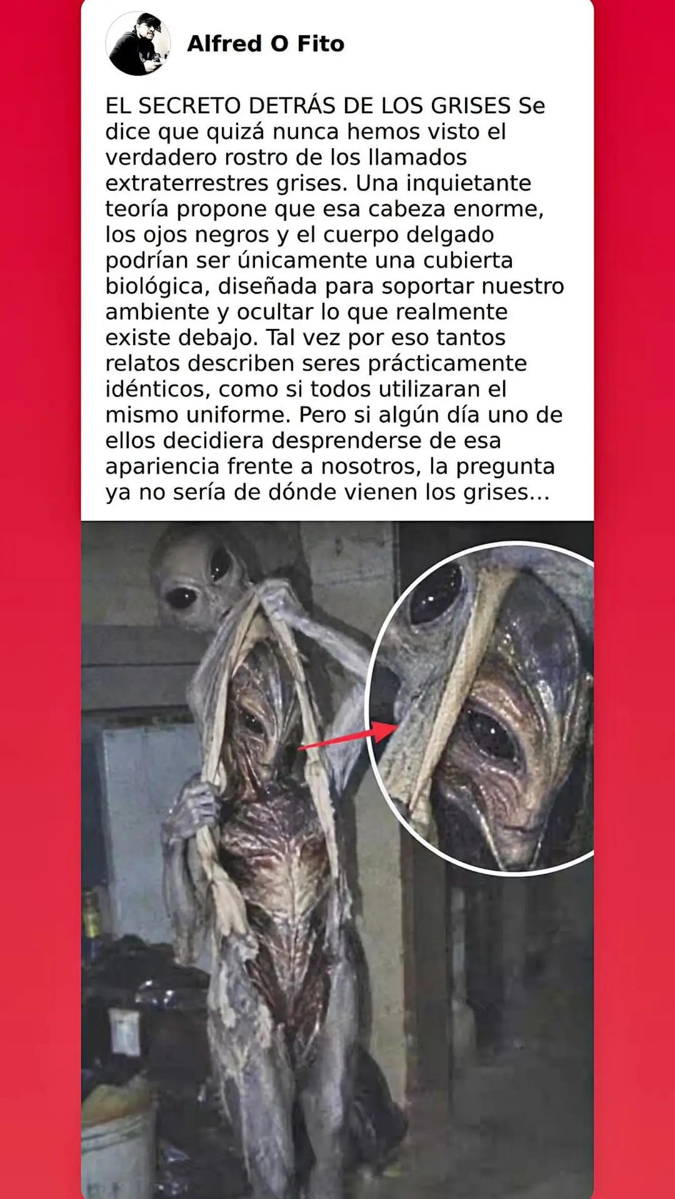 @Alfred el Fito