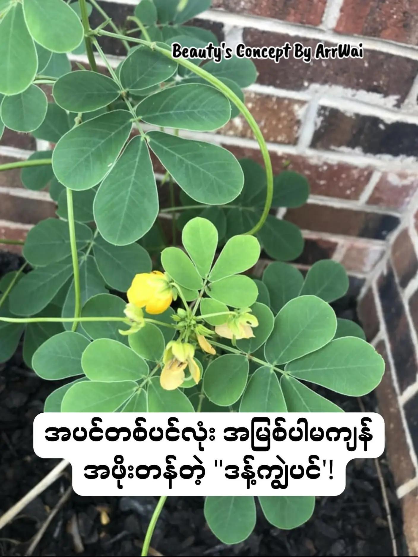 @đđŤđŤ_đđđ˘ đđ¨đŽđŤđ§đđ˛