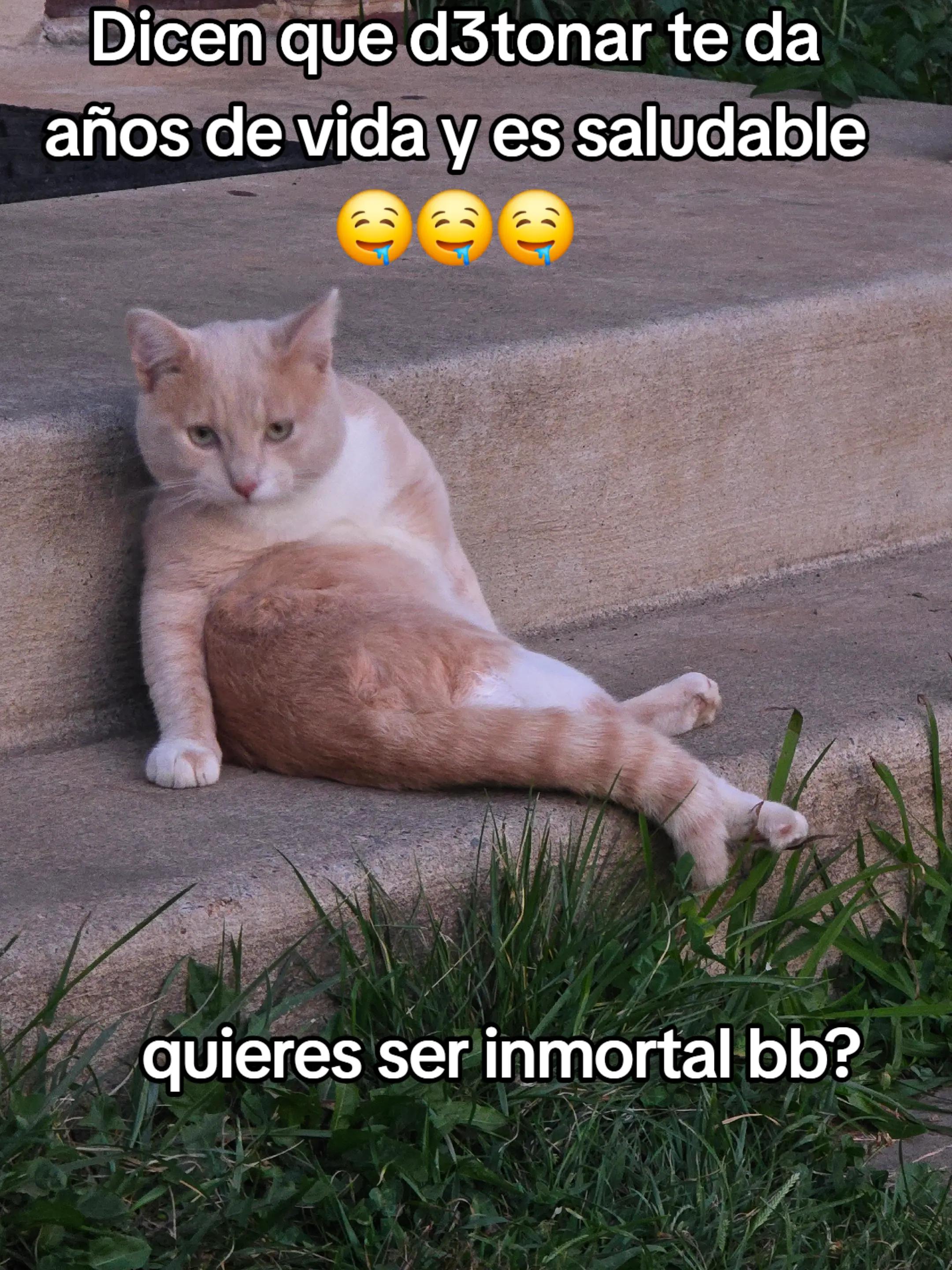 @️☆ 𝔈𝔑ℜℑ𝔔𝔘𝔈 ♡