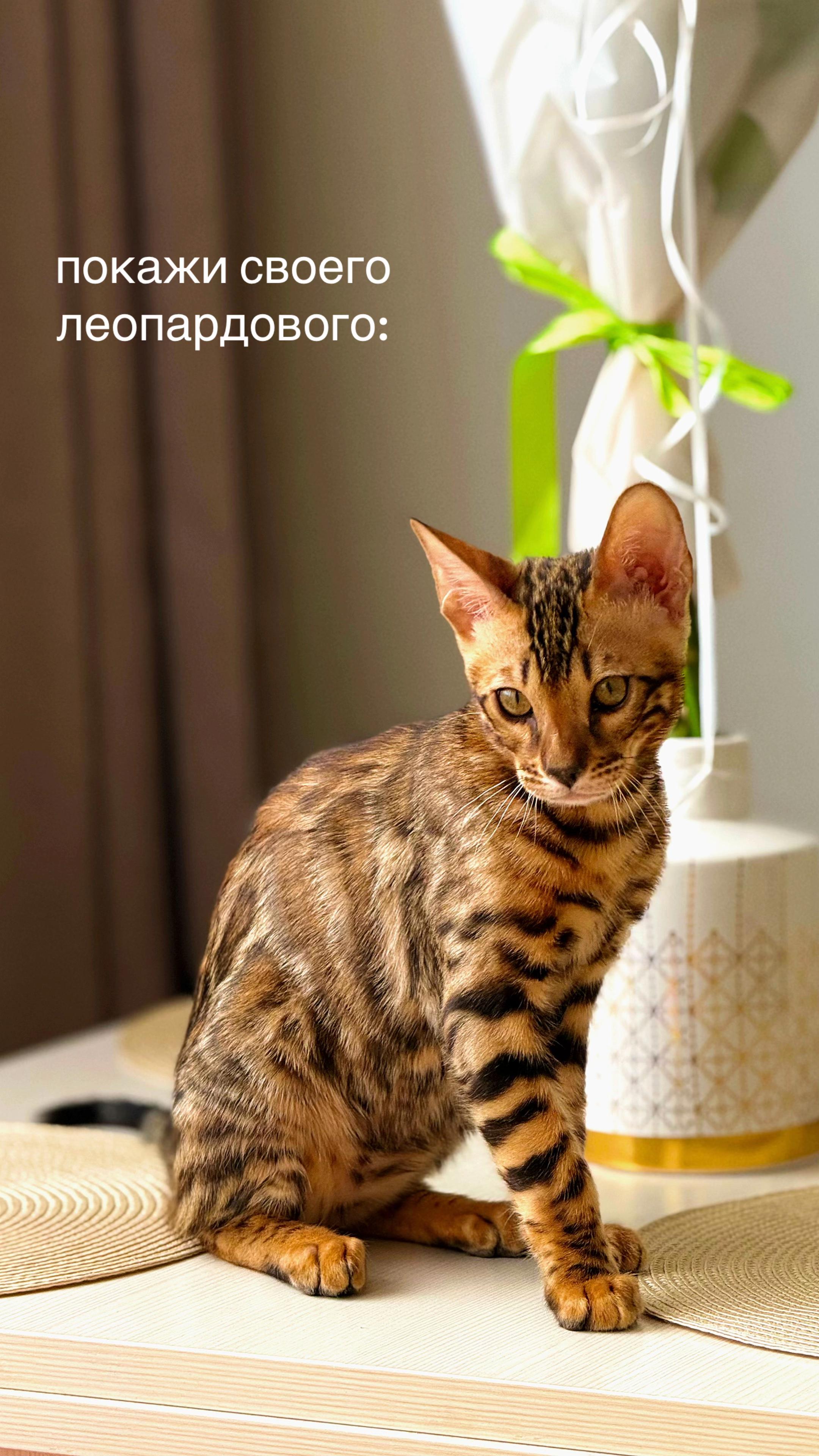 @Лиза