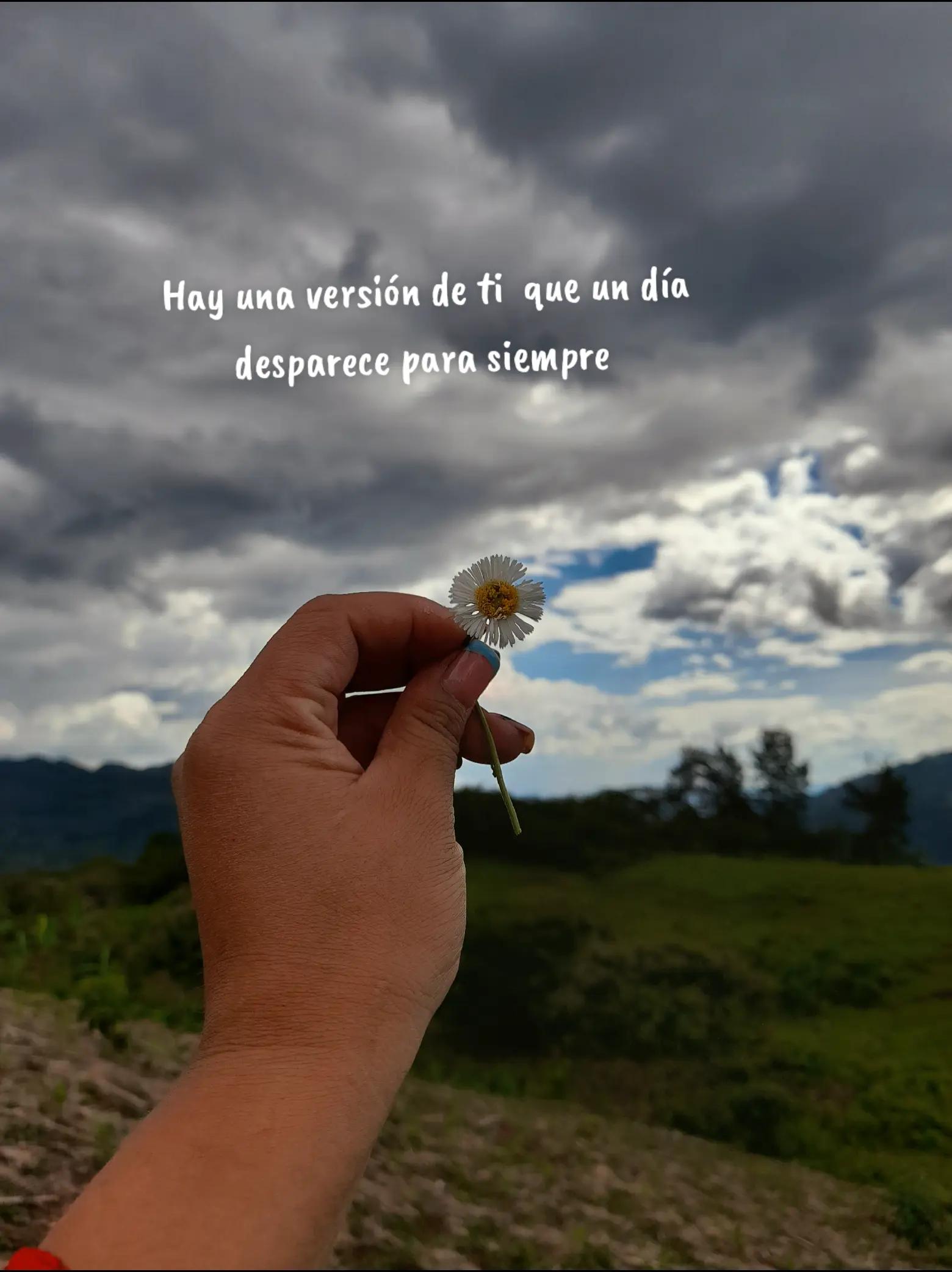 @Yamileth Molina