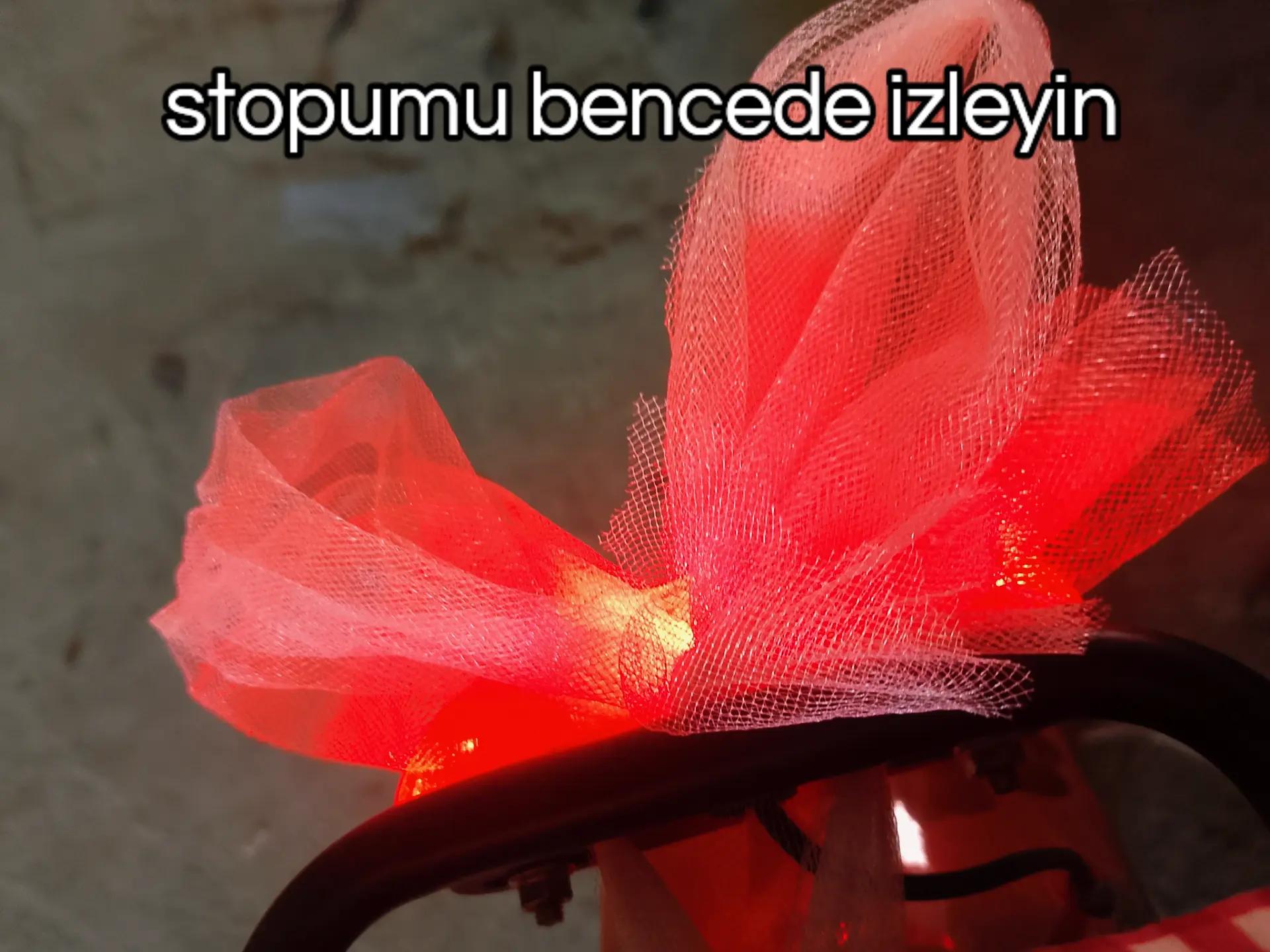 @𓆩𝐌/𝐁𓆪™