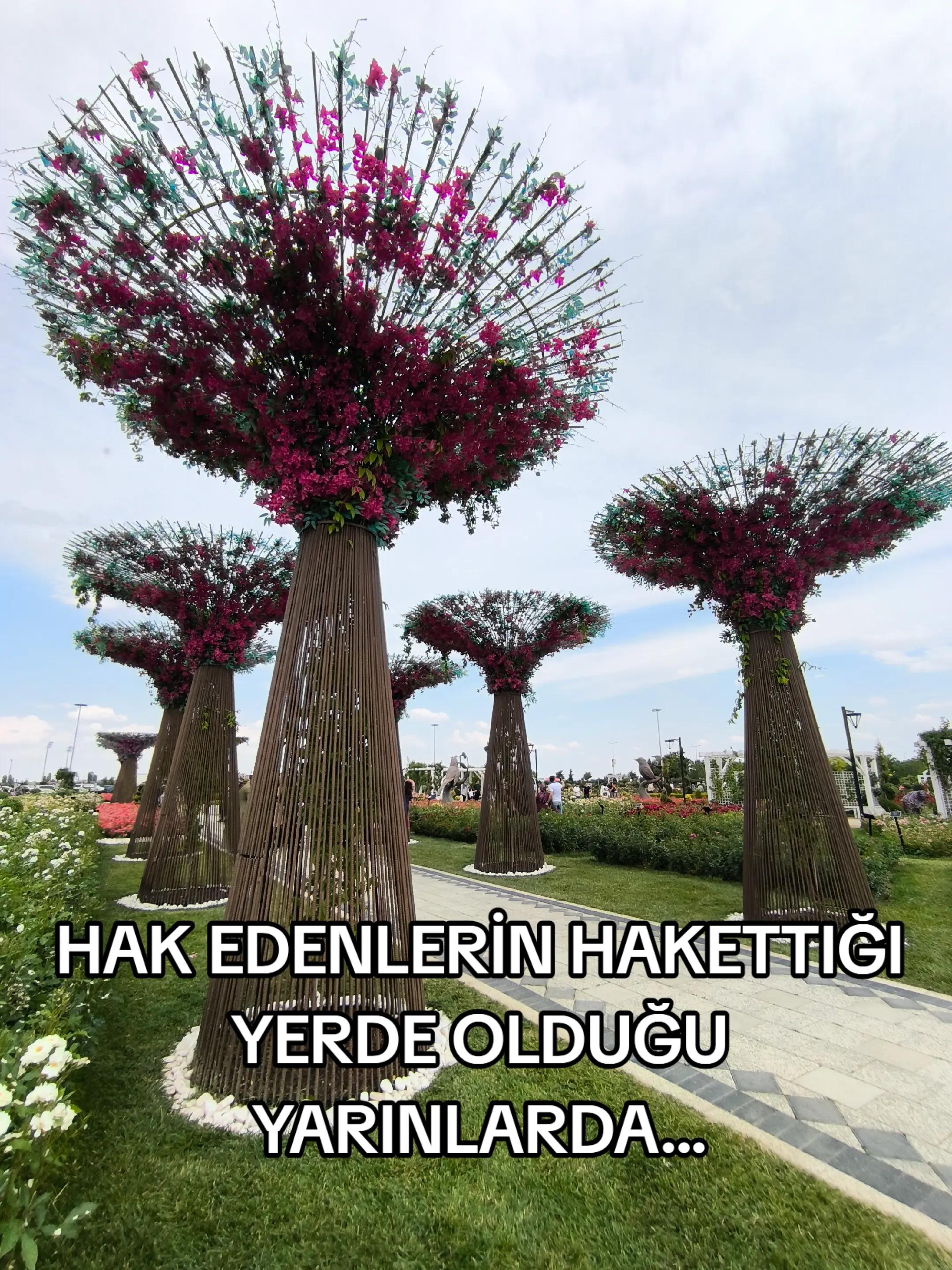 @gezginadam1453