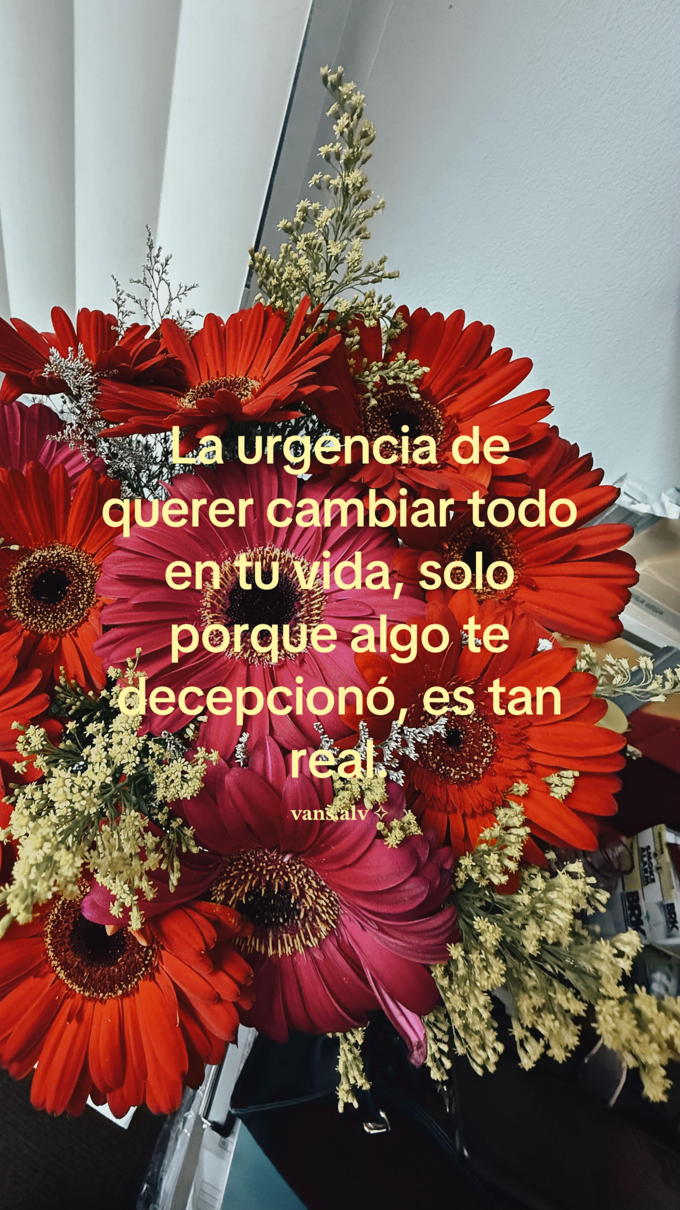 @ᴀʟᴠ