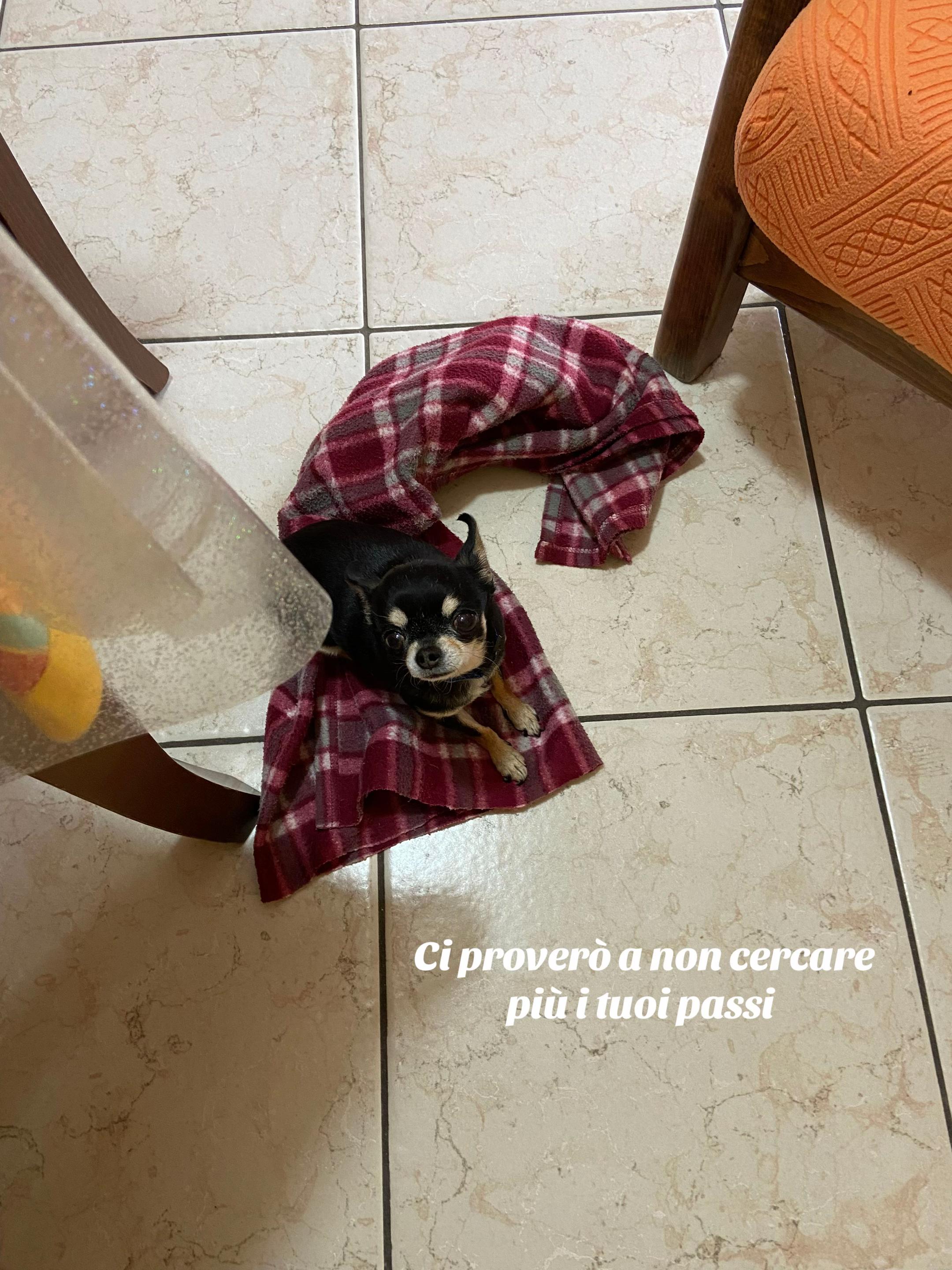 @Gelsomina Cecere