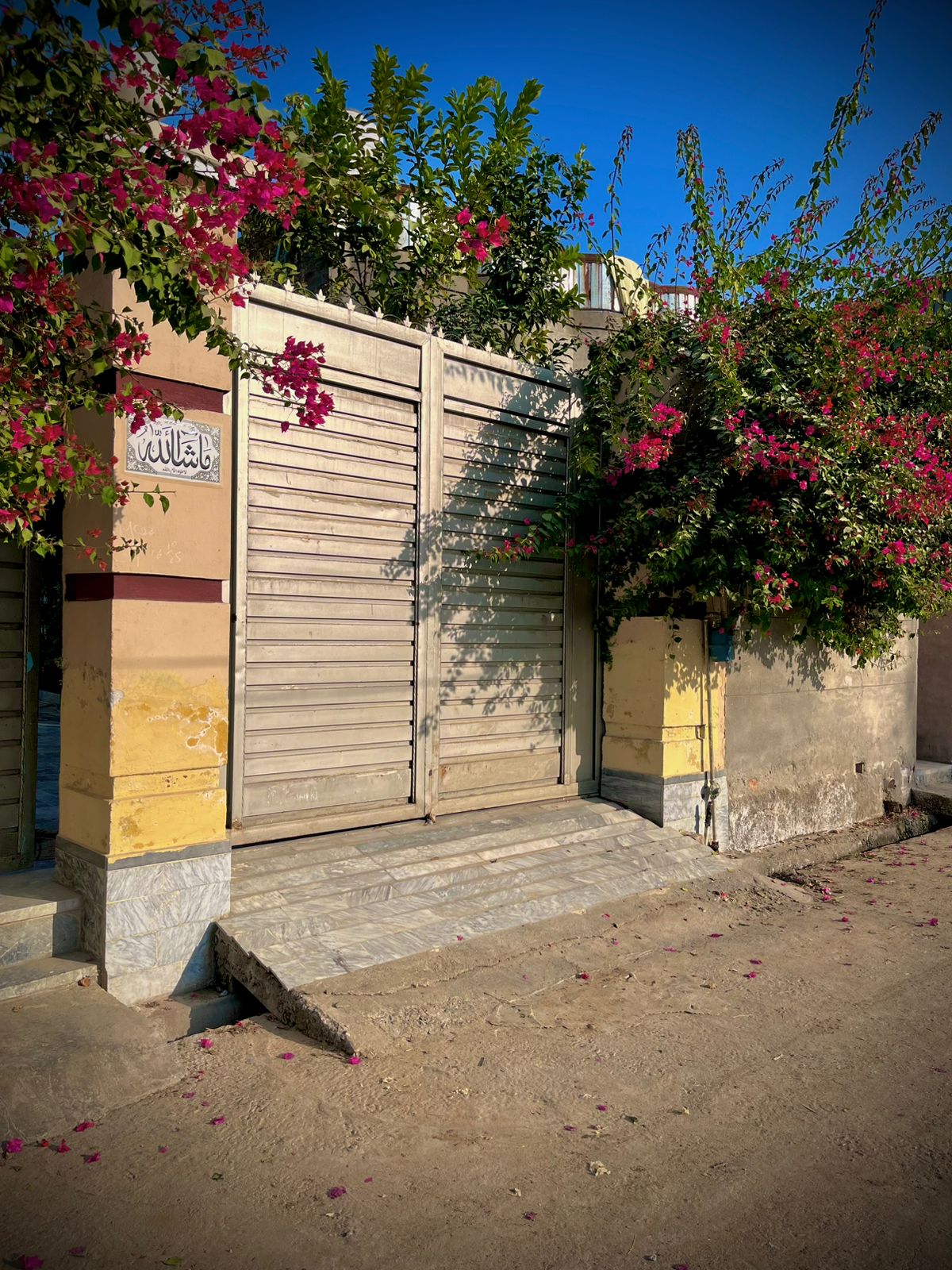 @ali property zone