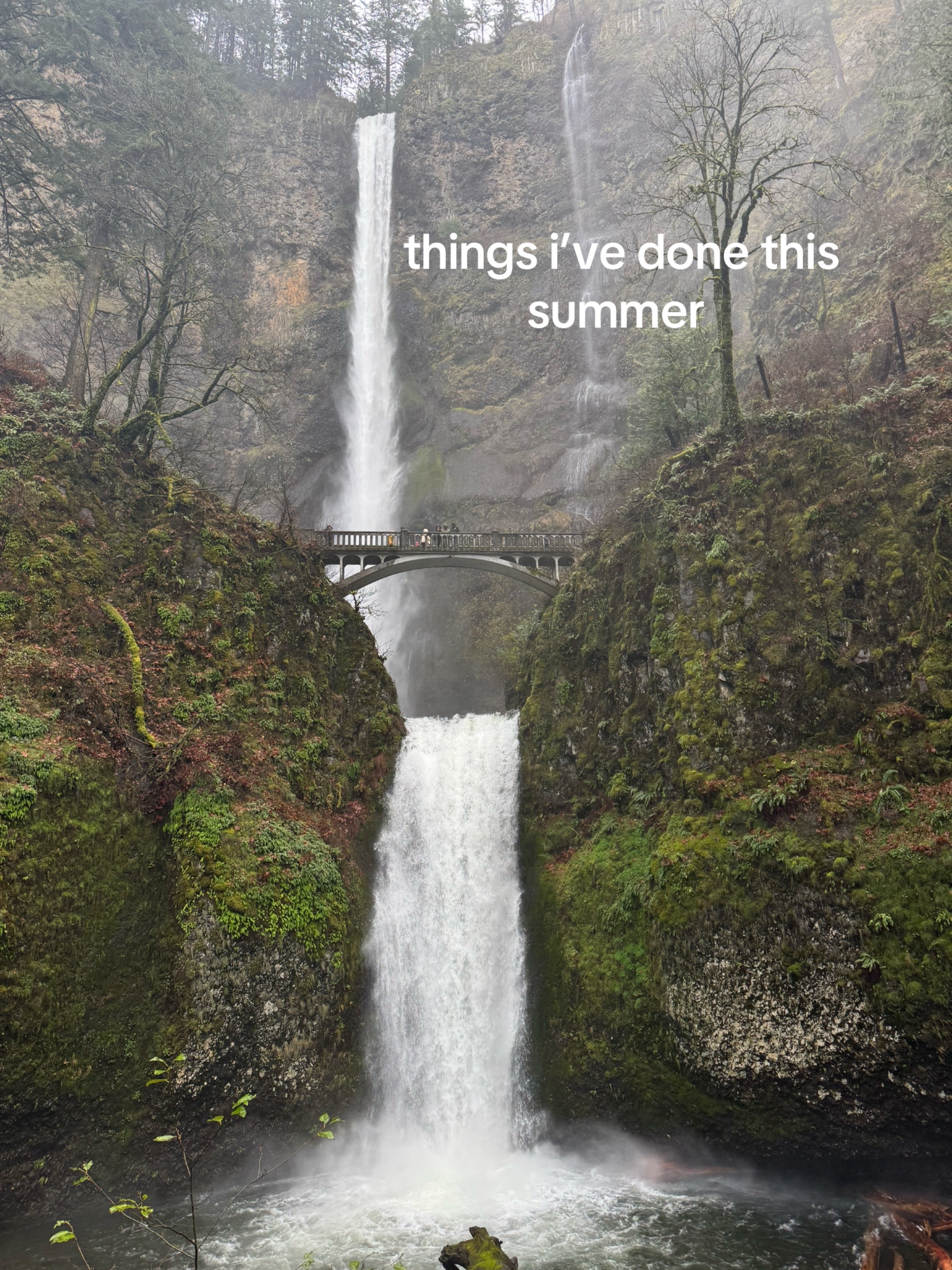 @≽^•⩊•^≼