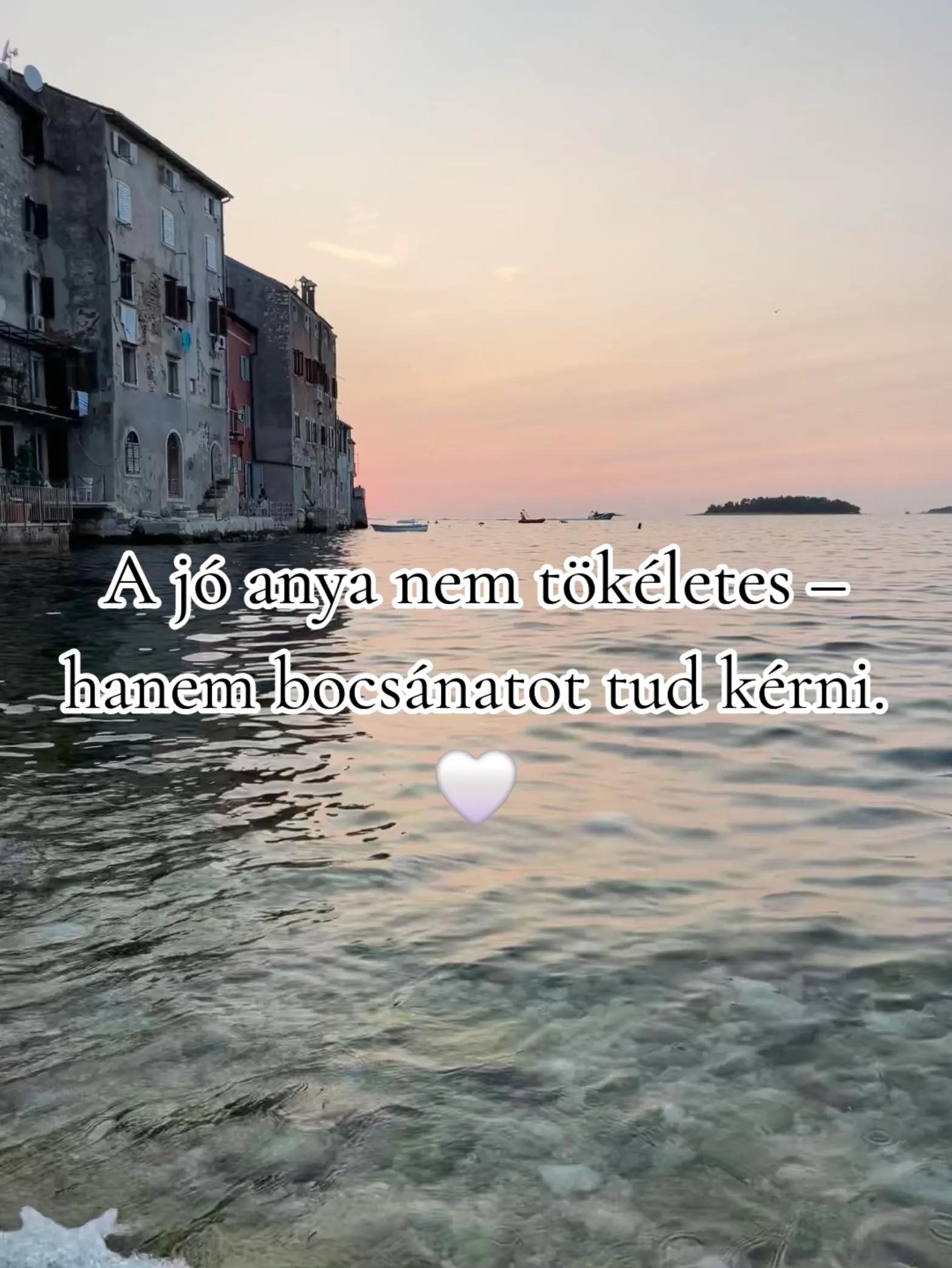 @Juh&aacute;sz-Rudnai K&iacute;ra