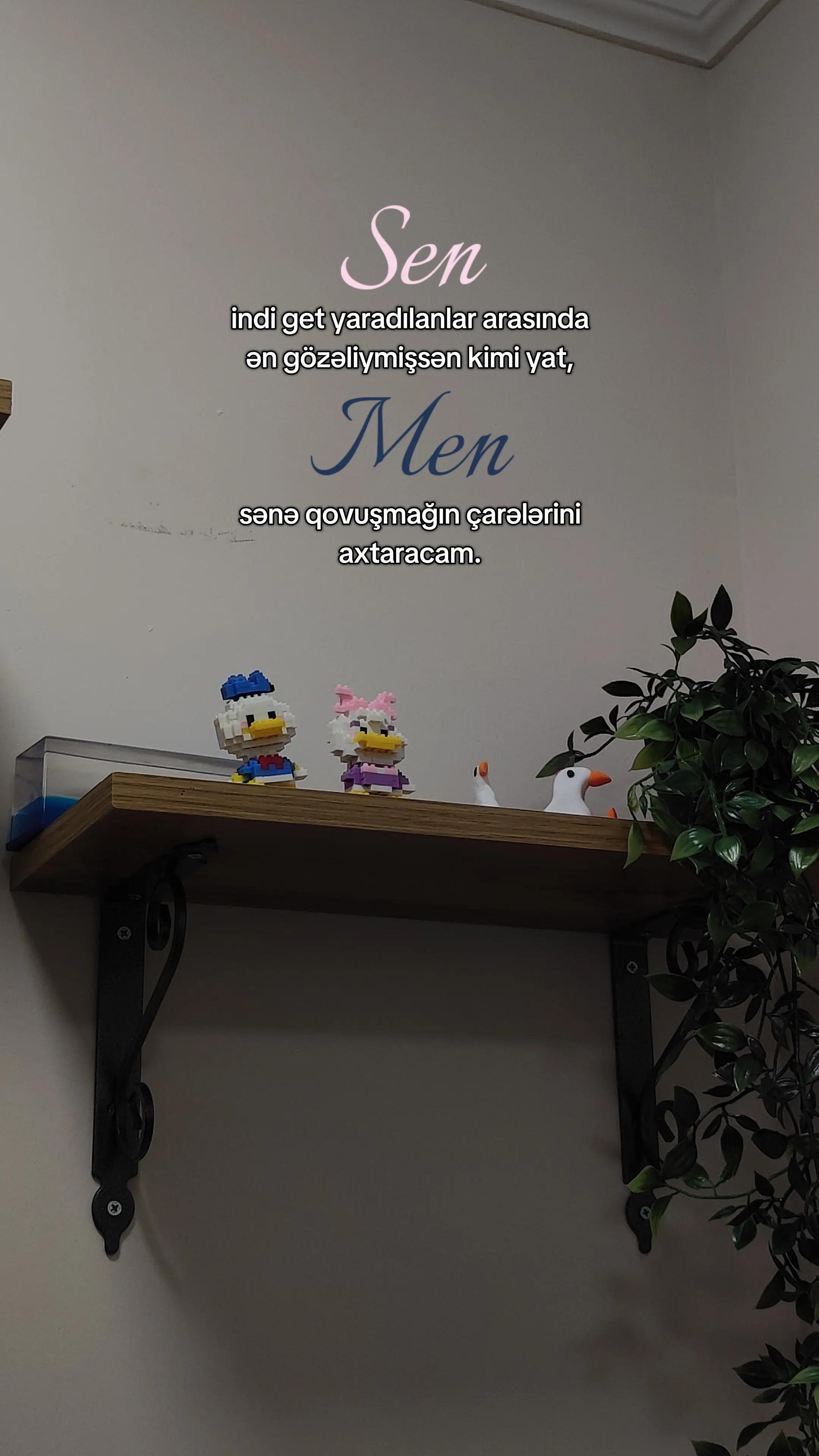 @𝒁