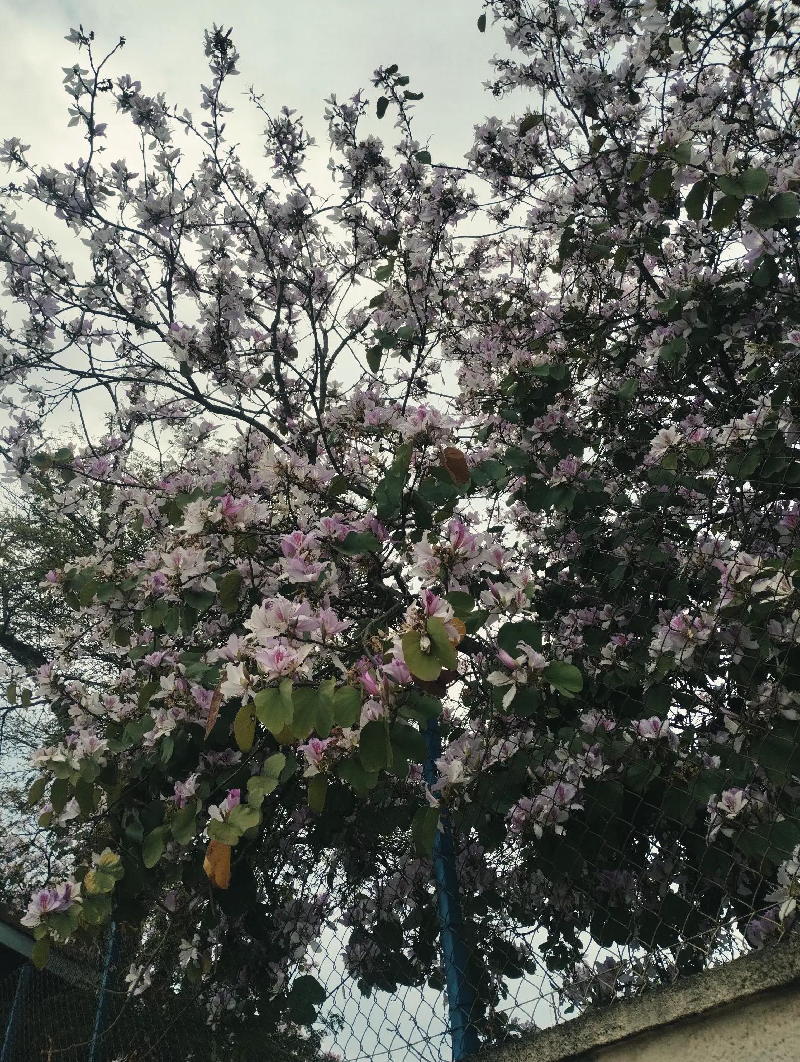 @F𝑒𝑟𝑛𝑎𝑛𝑑𝑒𝑠🫥
