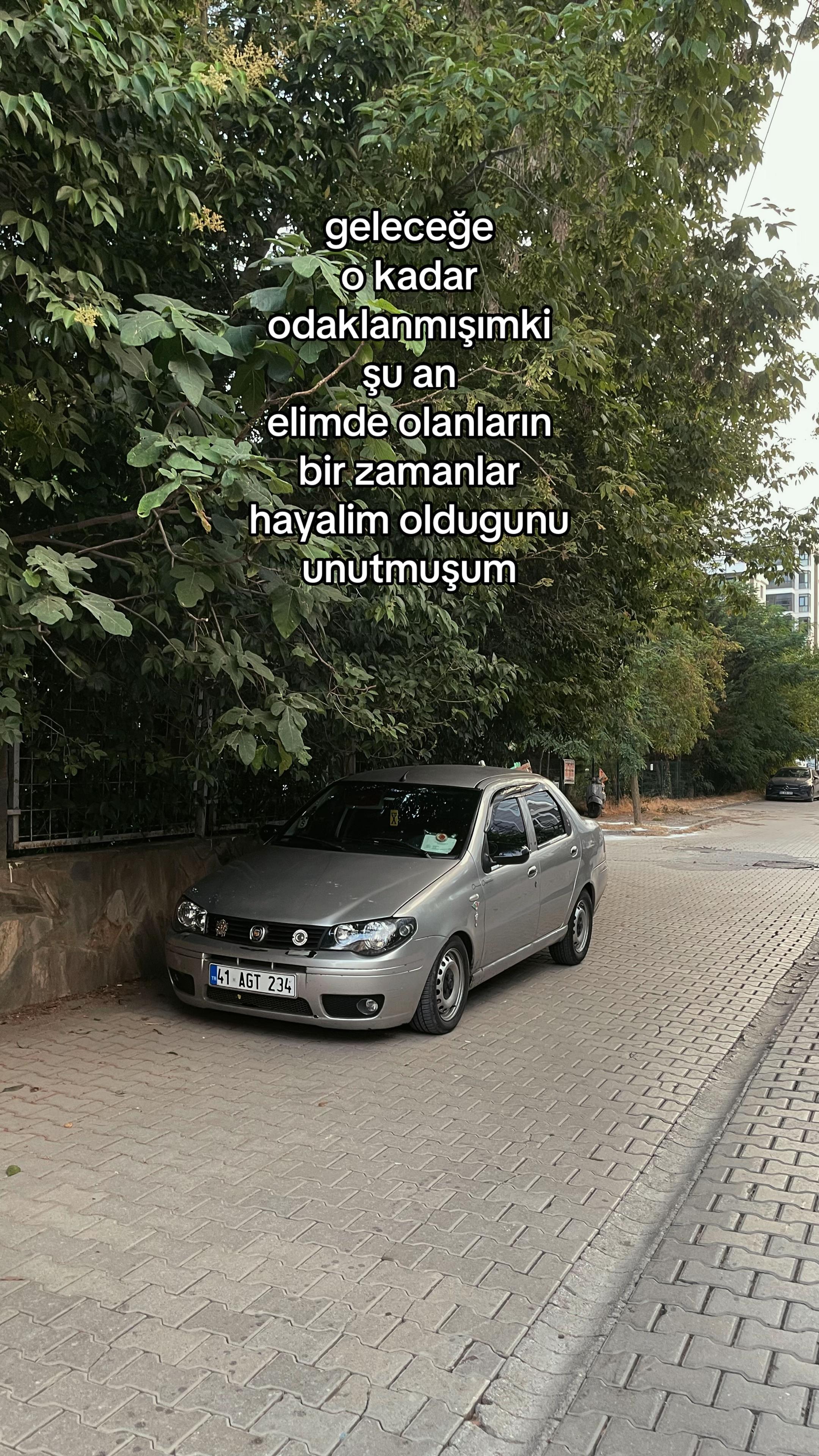 @albela.tr
