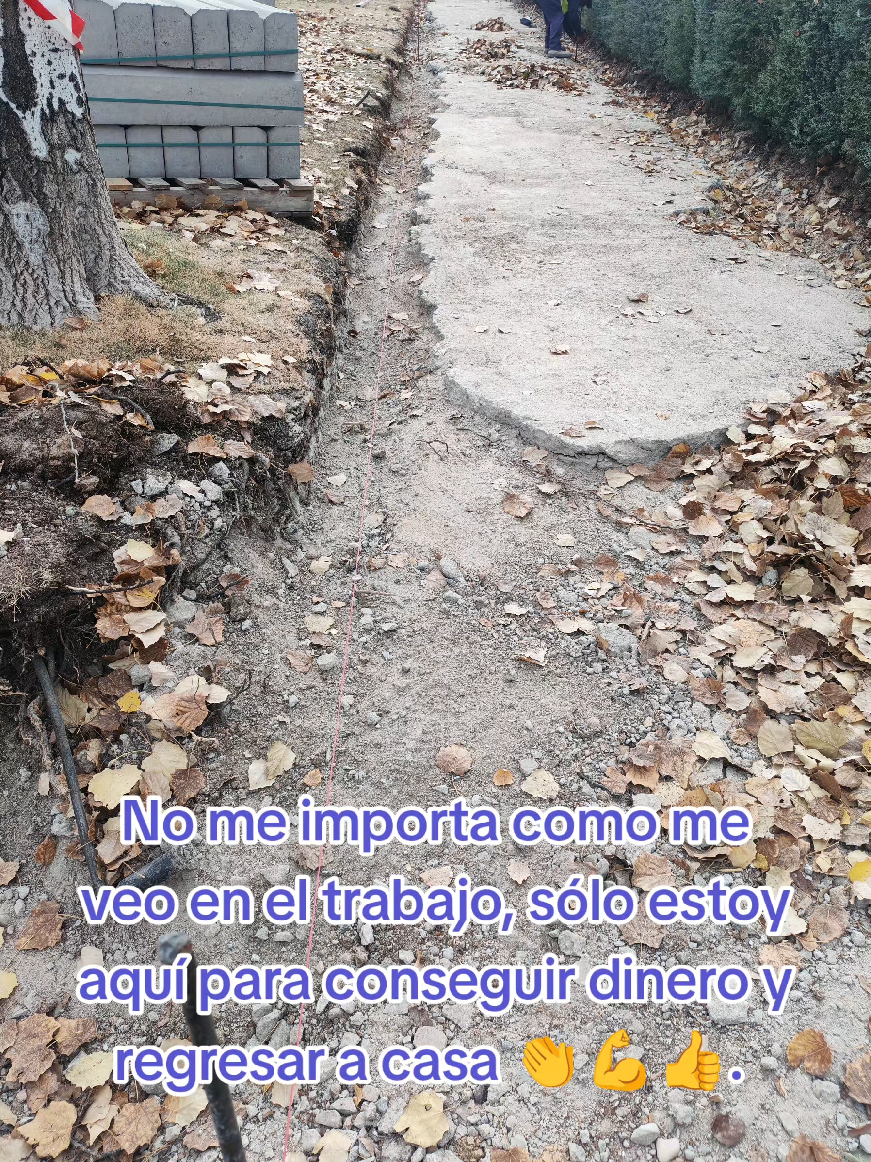 @Fernando