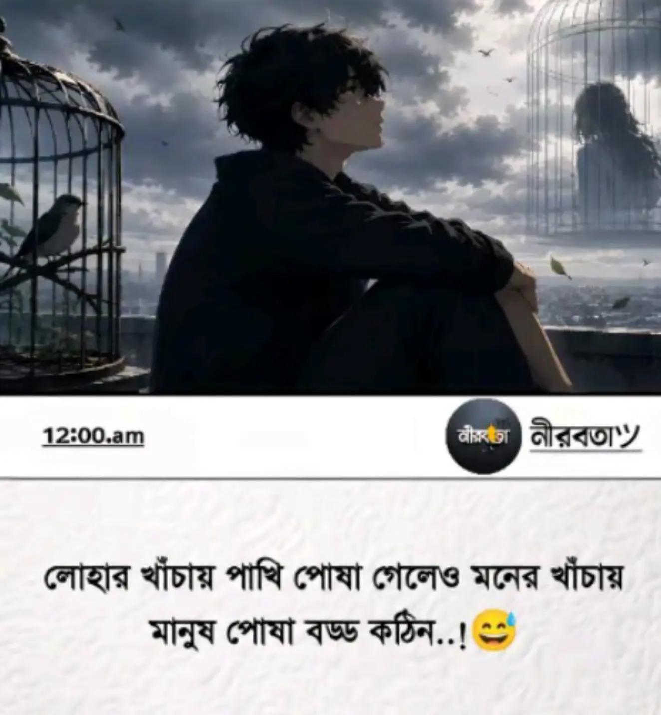 @Saiko Boy
