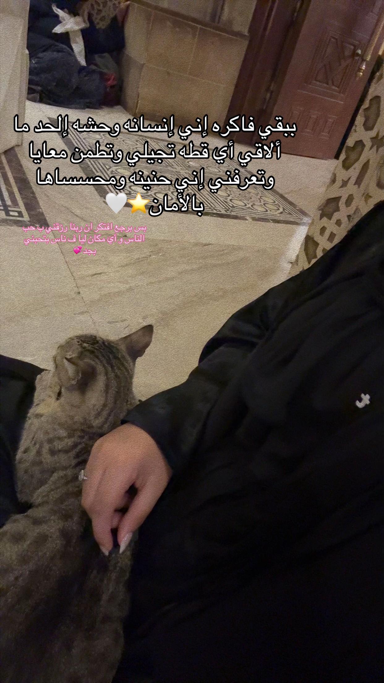 @𝐑𝐨𝐳𝐲💞