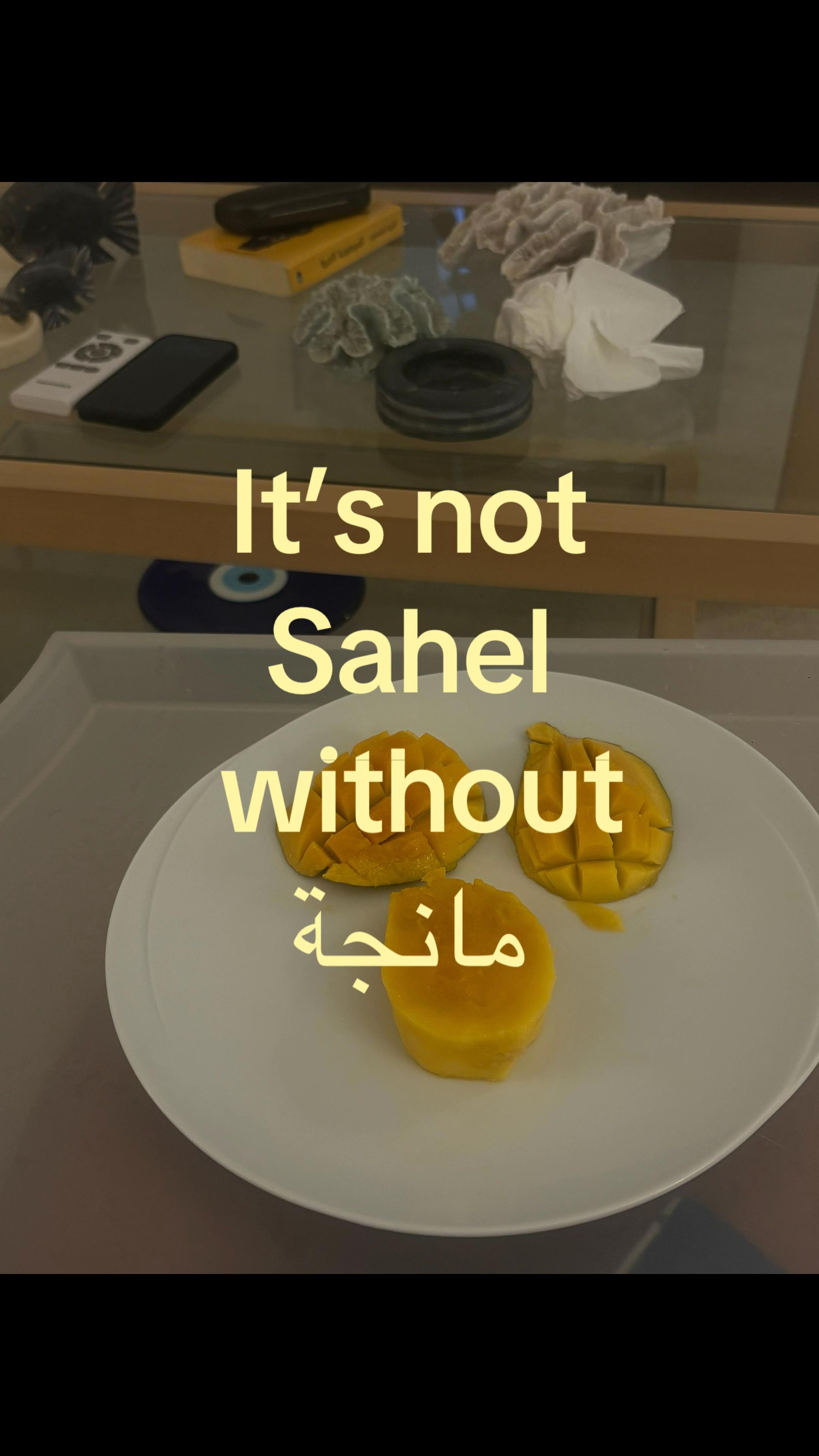 @talya ⋆˚☥꩜⋆