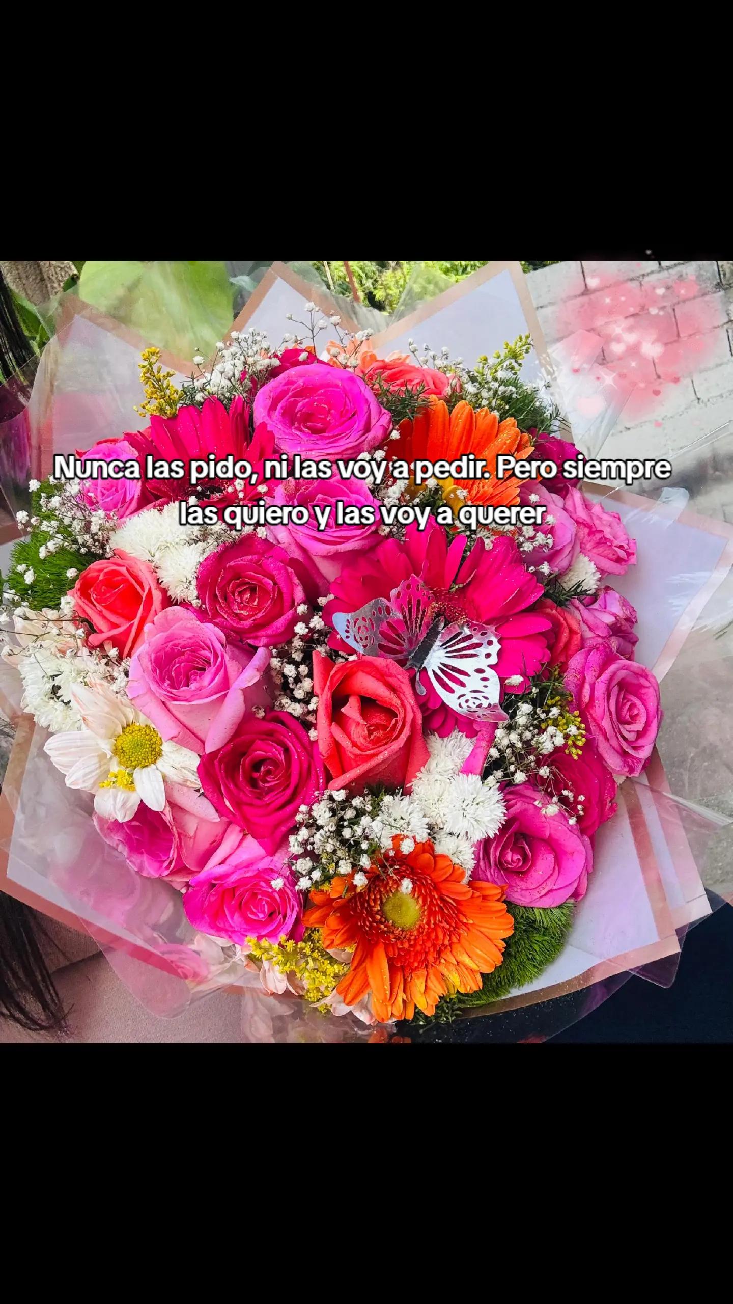 @Yennifer Morillo🦿♿