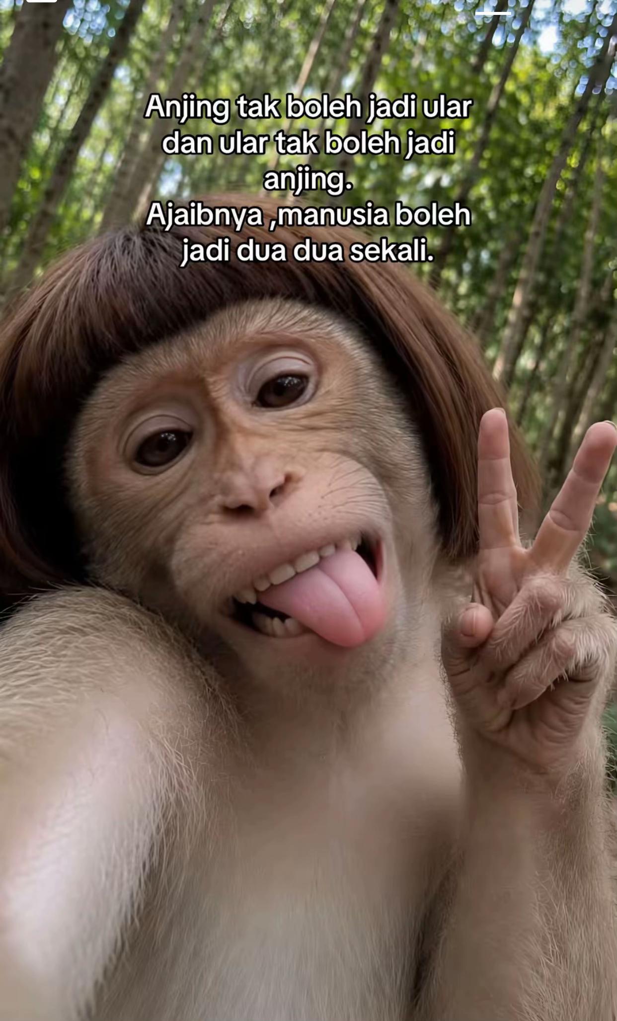 @capangPang