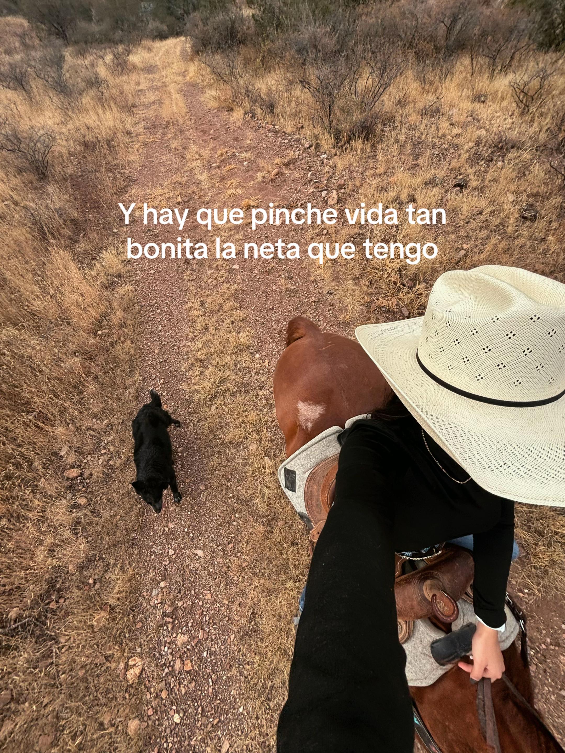 @Grethel Hernández
