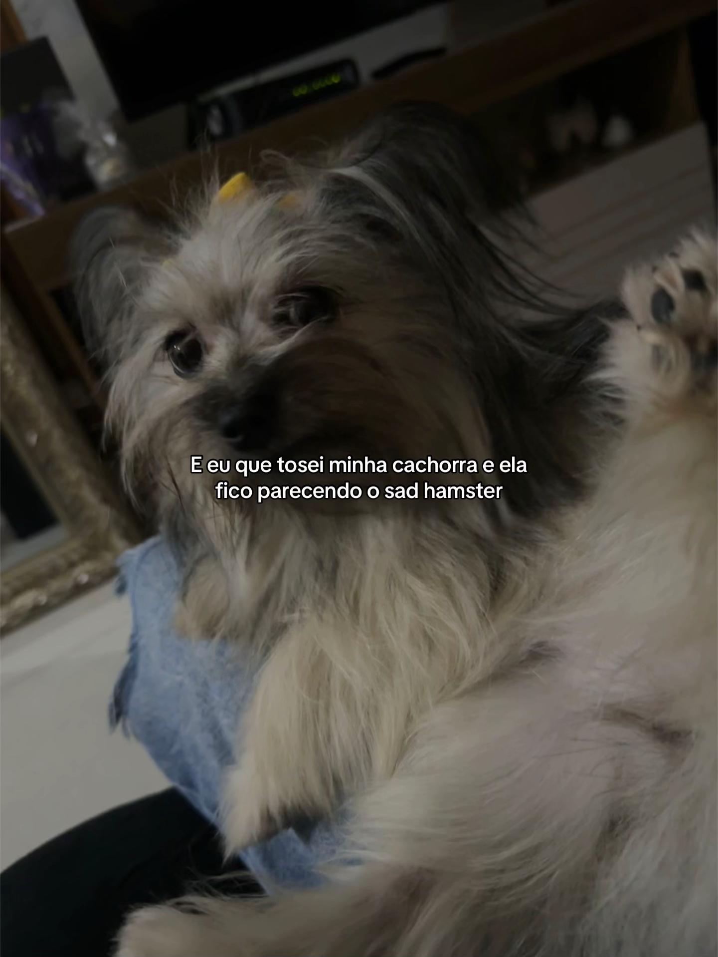 @Lele