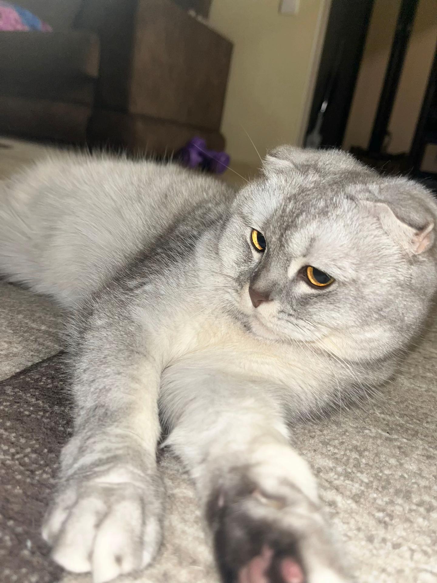 @нуя
