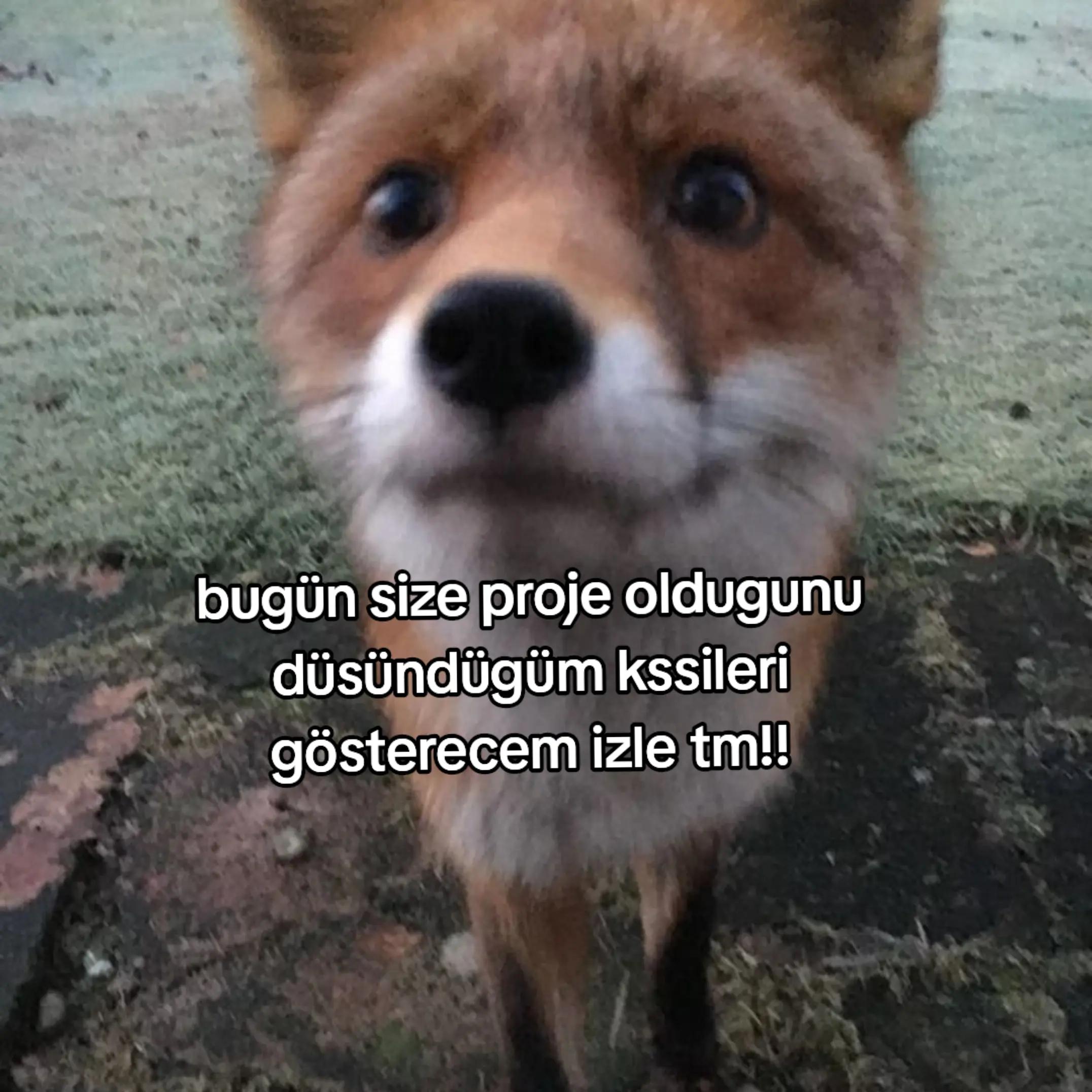 @🦊🍁★tilki hanım★🍁🦊