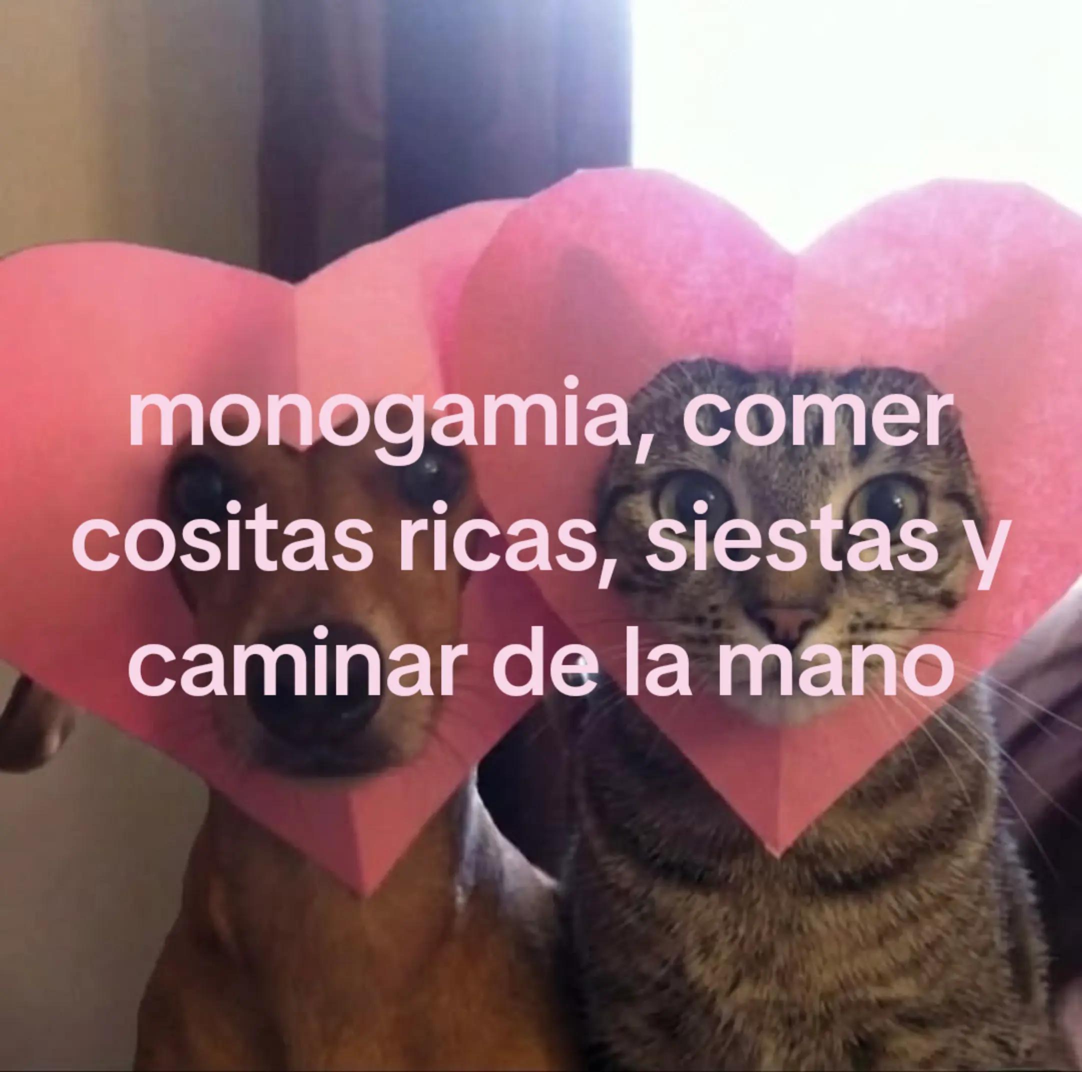 @Nico                 🪳