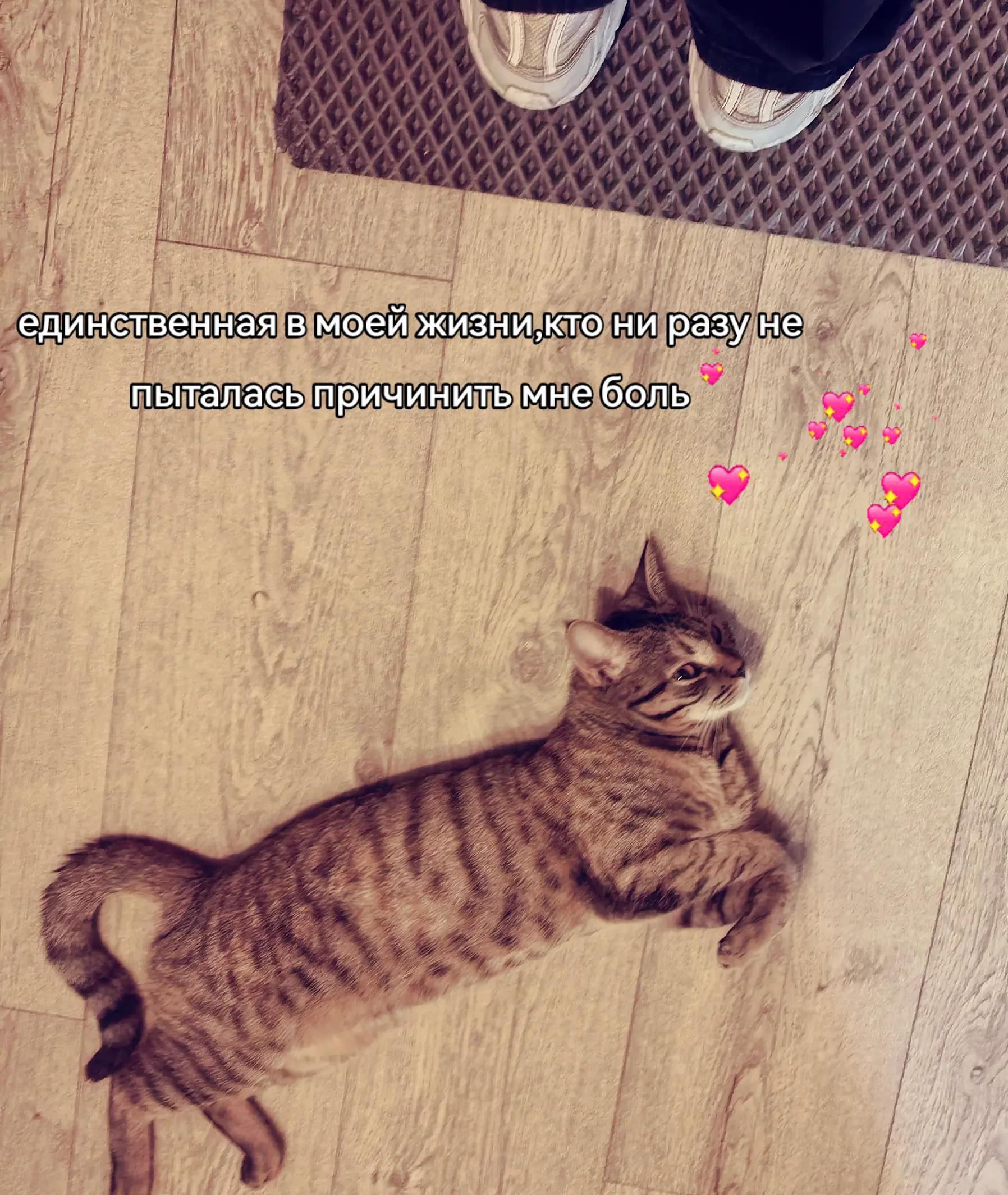 @𝒌𝒂𝒕𝒆𝒓𝒊𝒏𝒂😻
