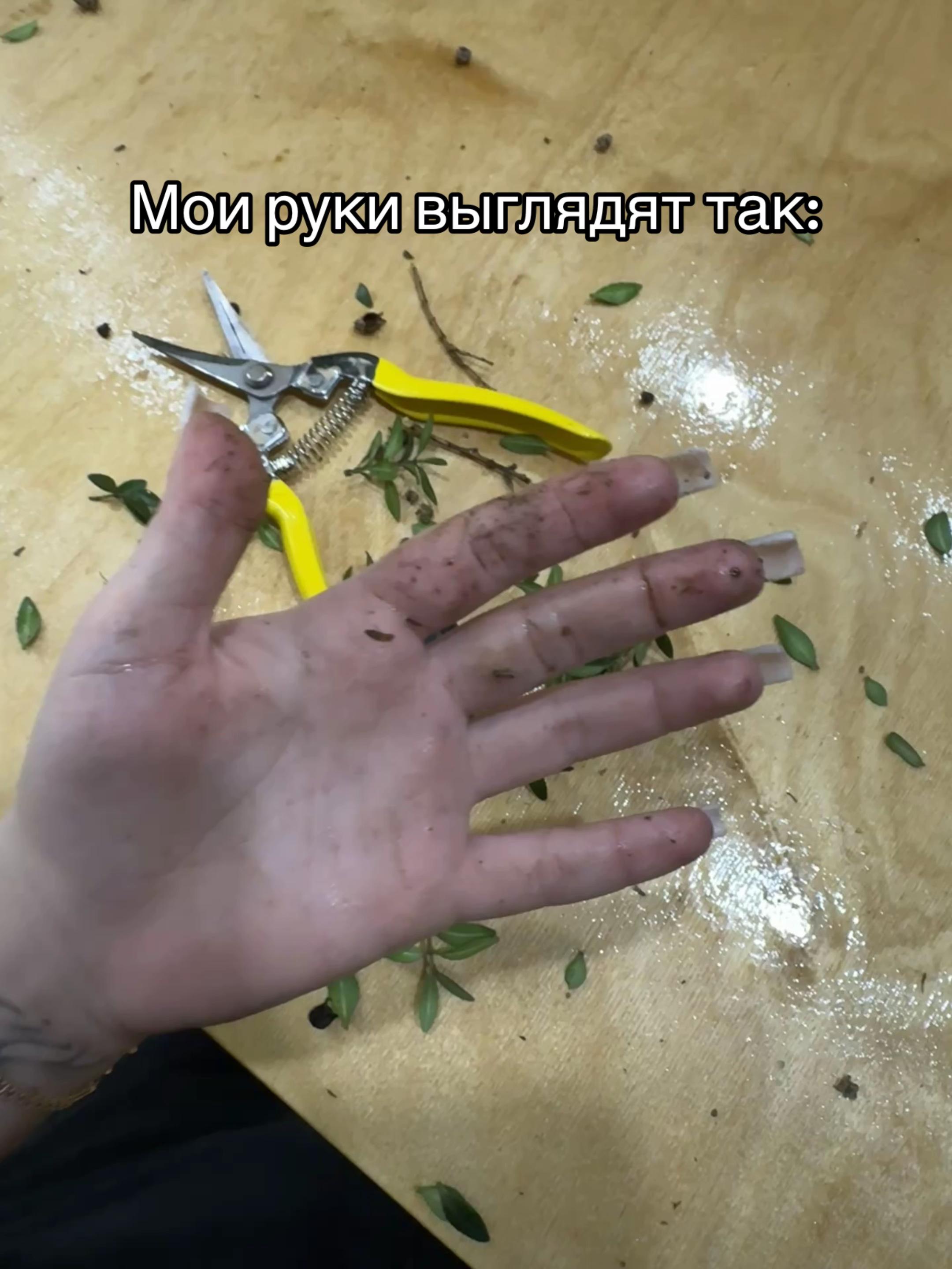 @Ksenia Holodok