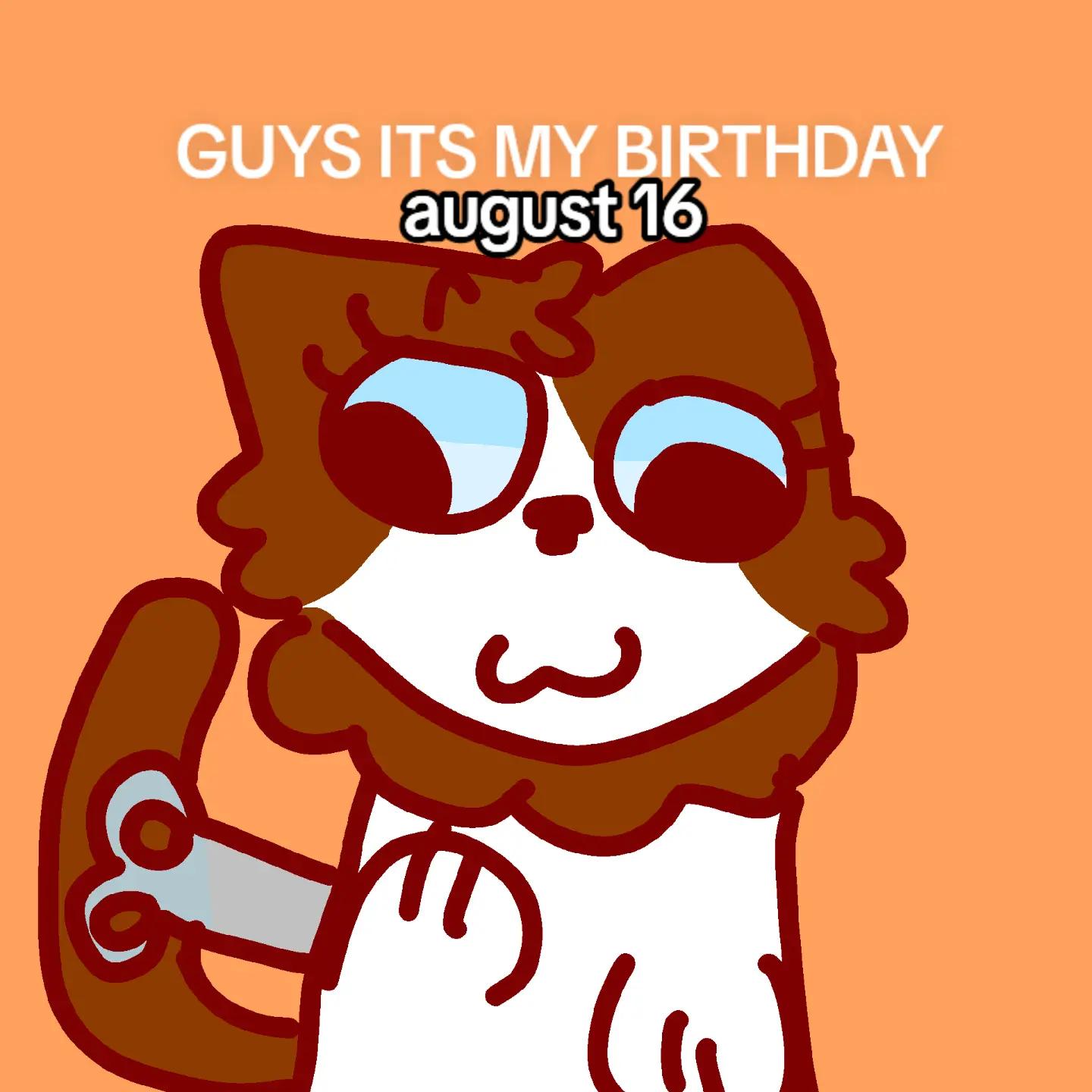 @pity the cat