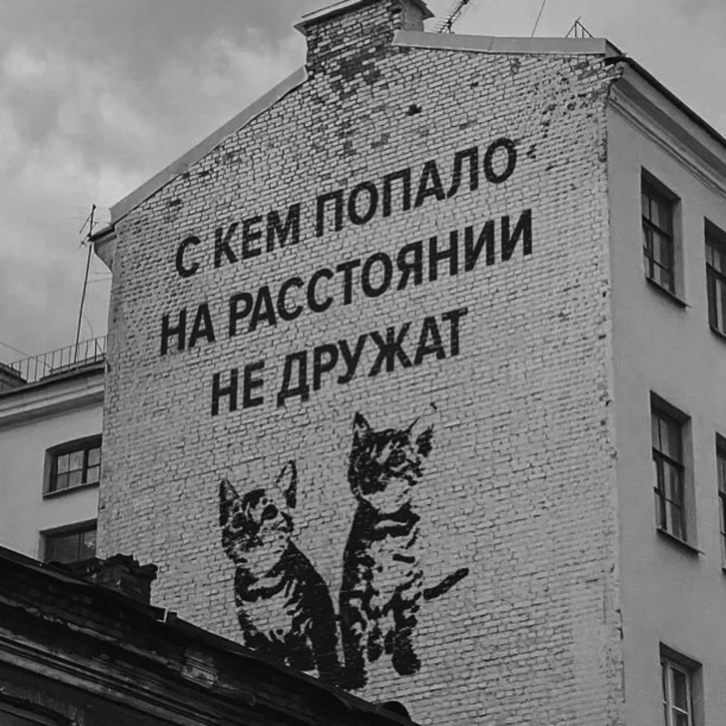 @🪷Альфия Ибрагимова🪷