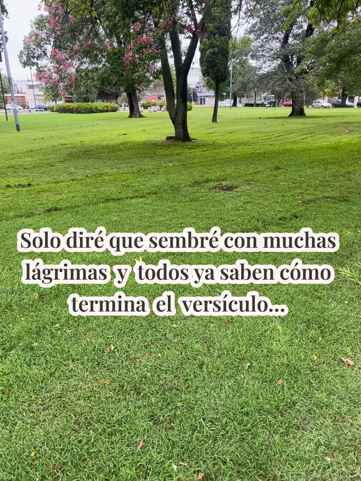 @Ro