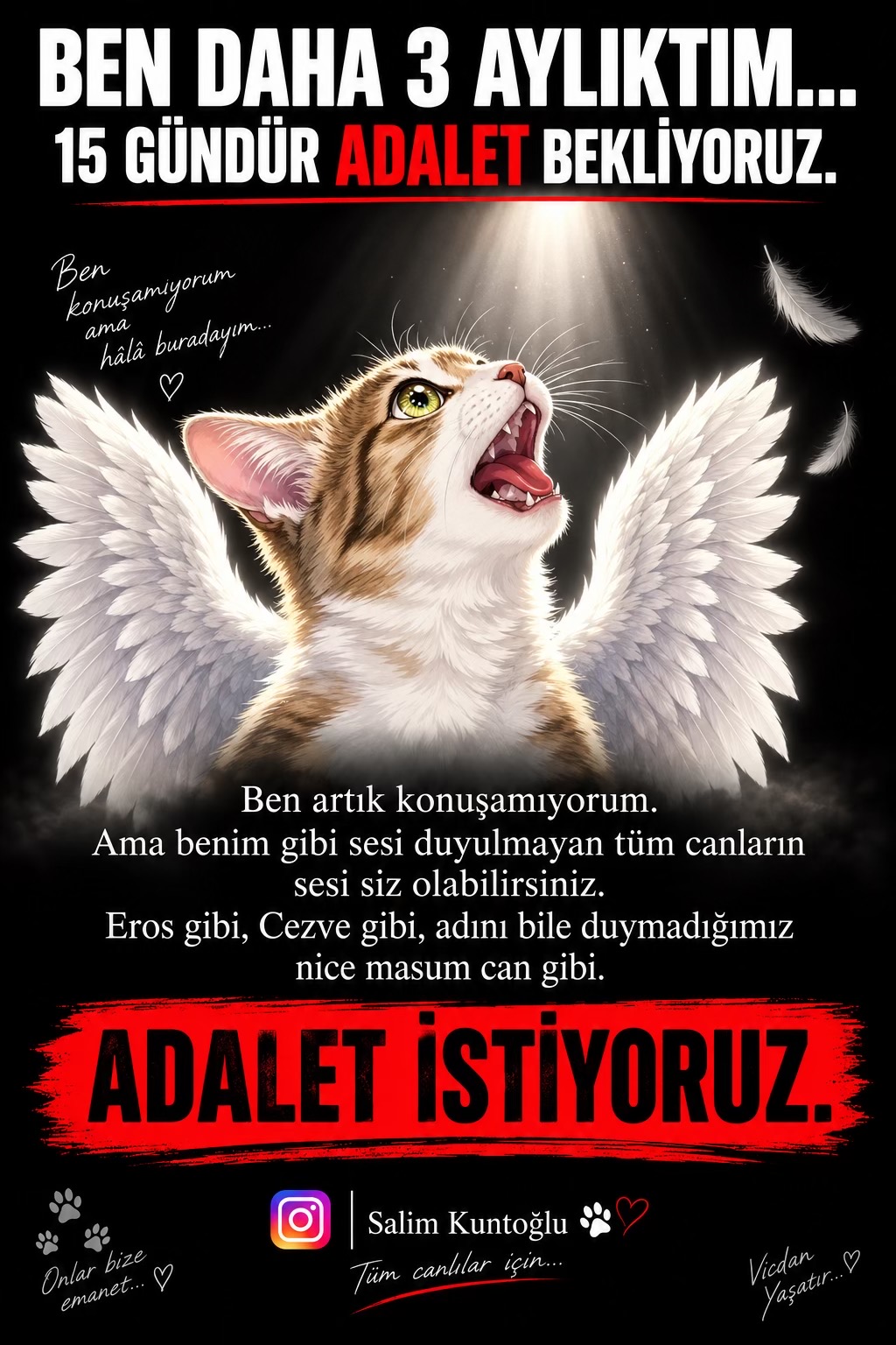 @Salim Kuntoğlu