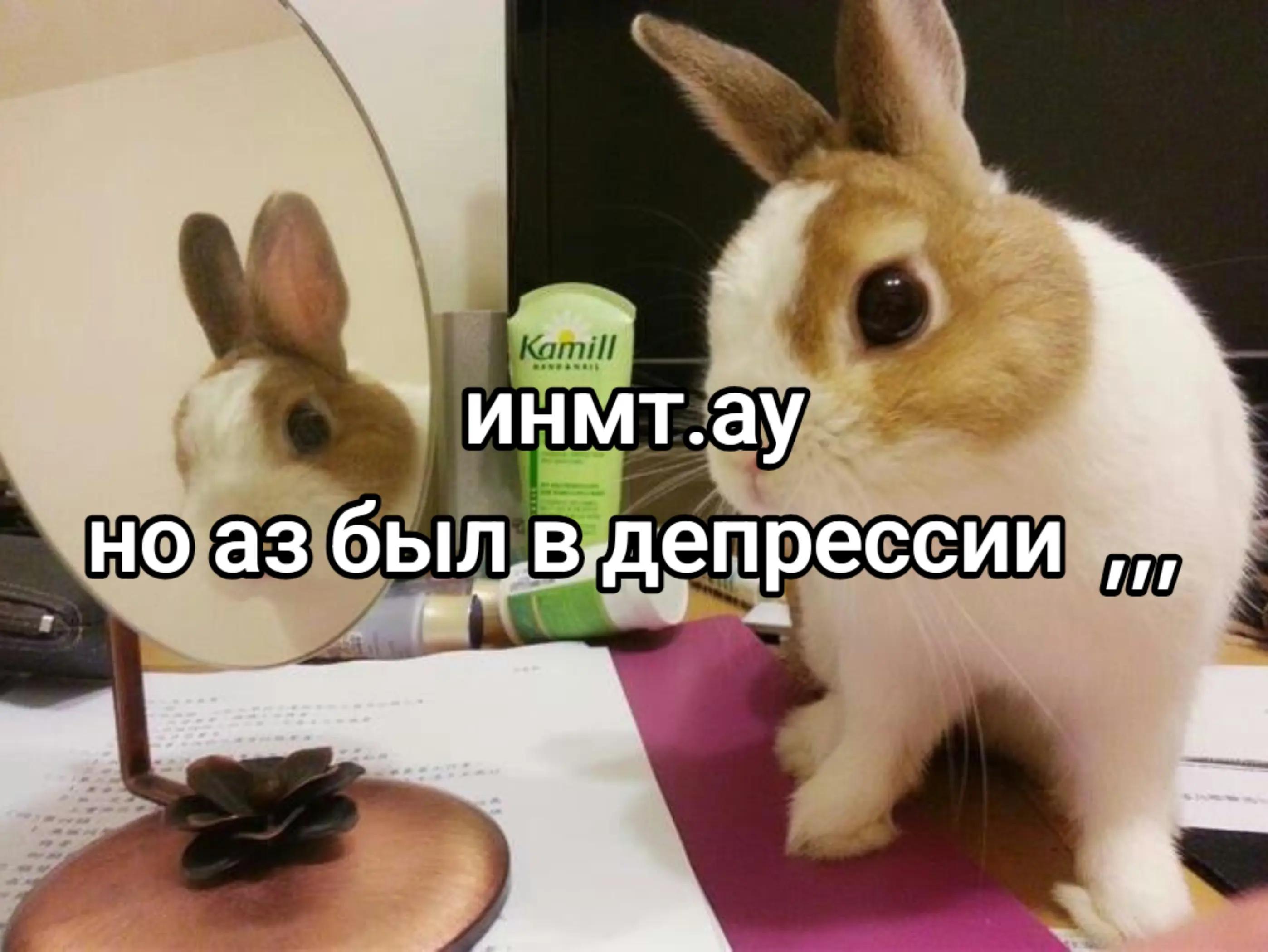 @чокопао 🍅