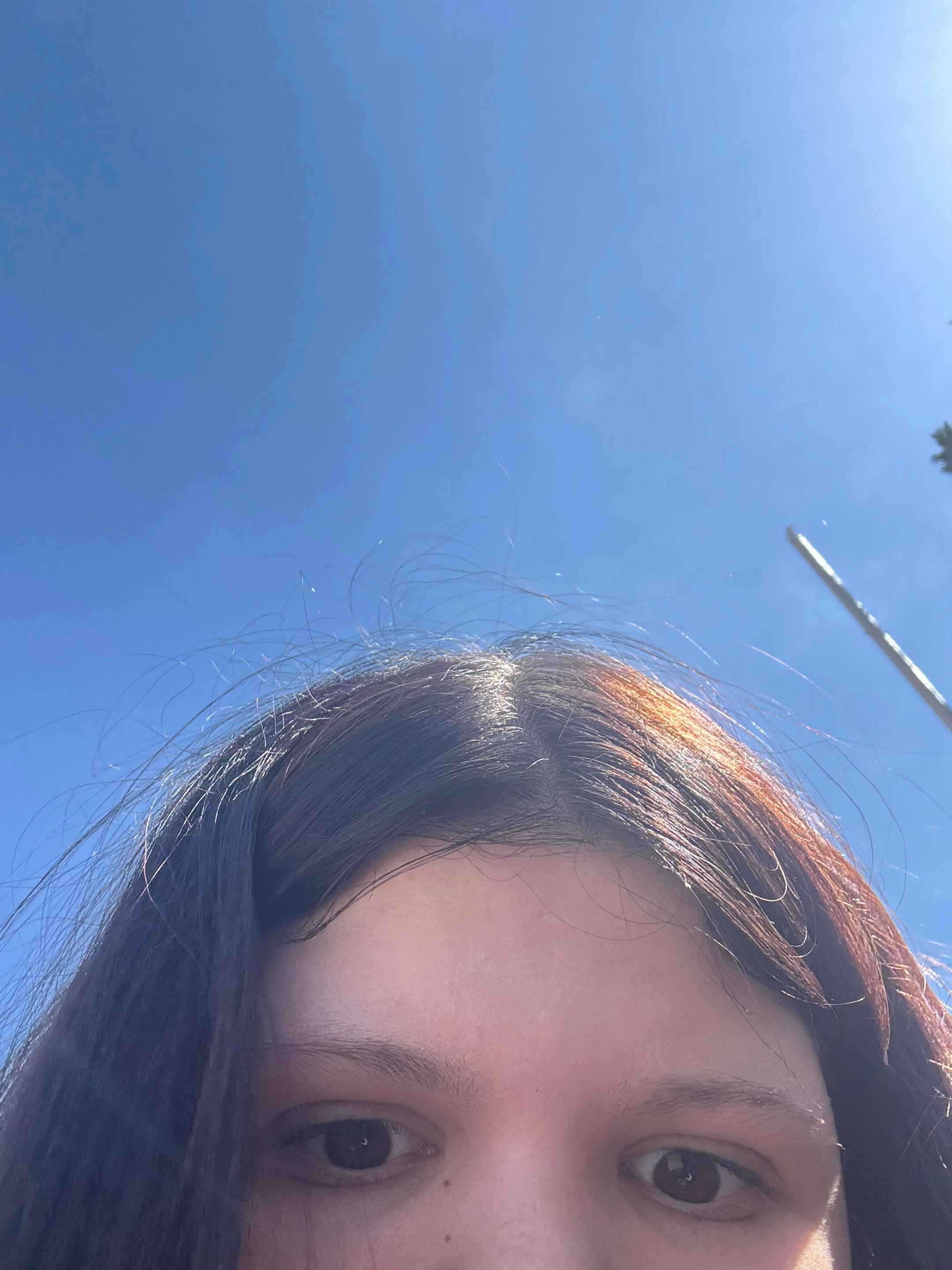 @fffffffffsuahhhhhhh