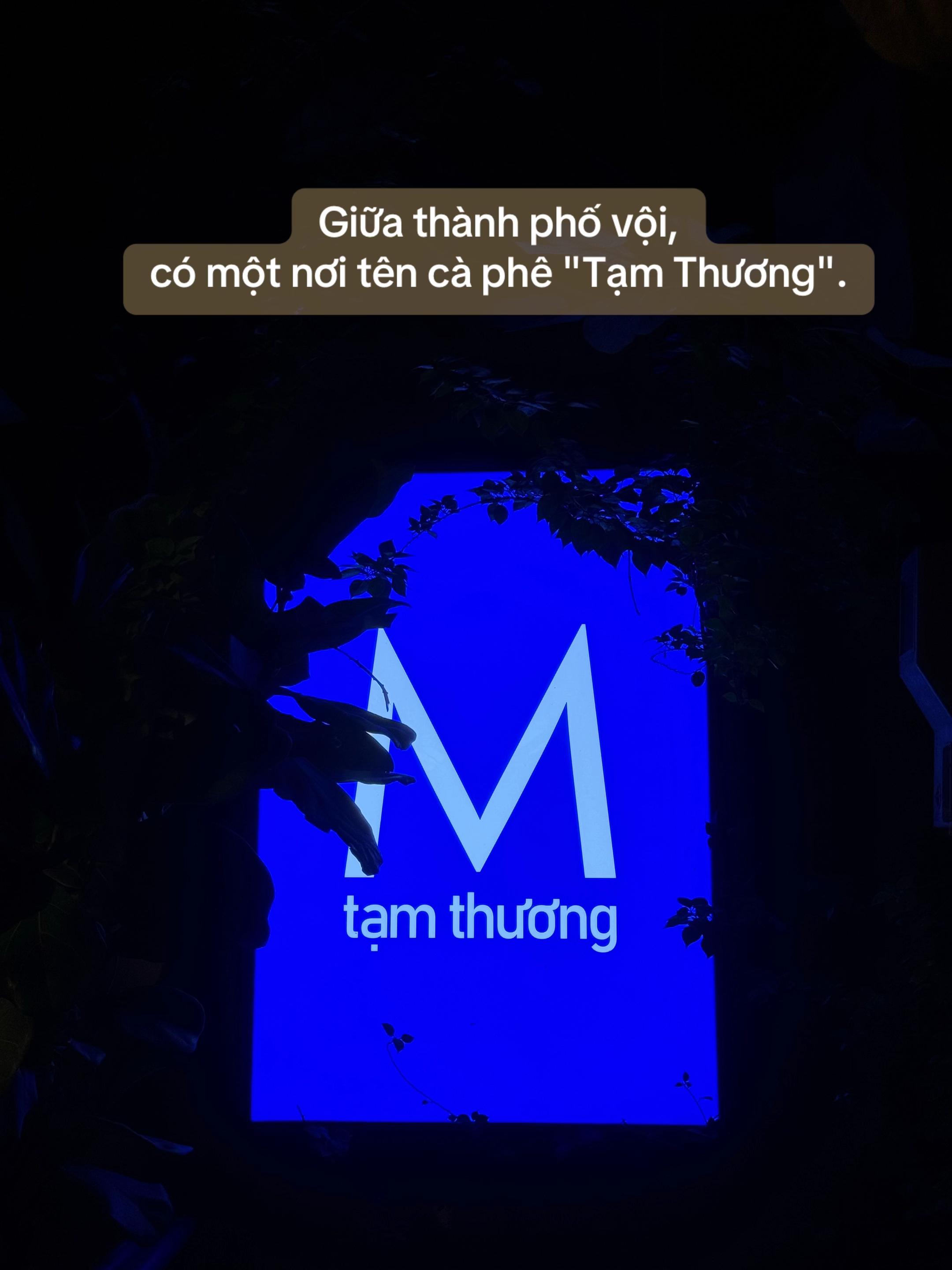 @Hiếu Kevin