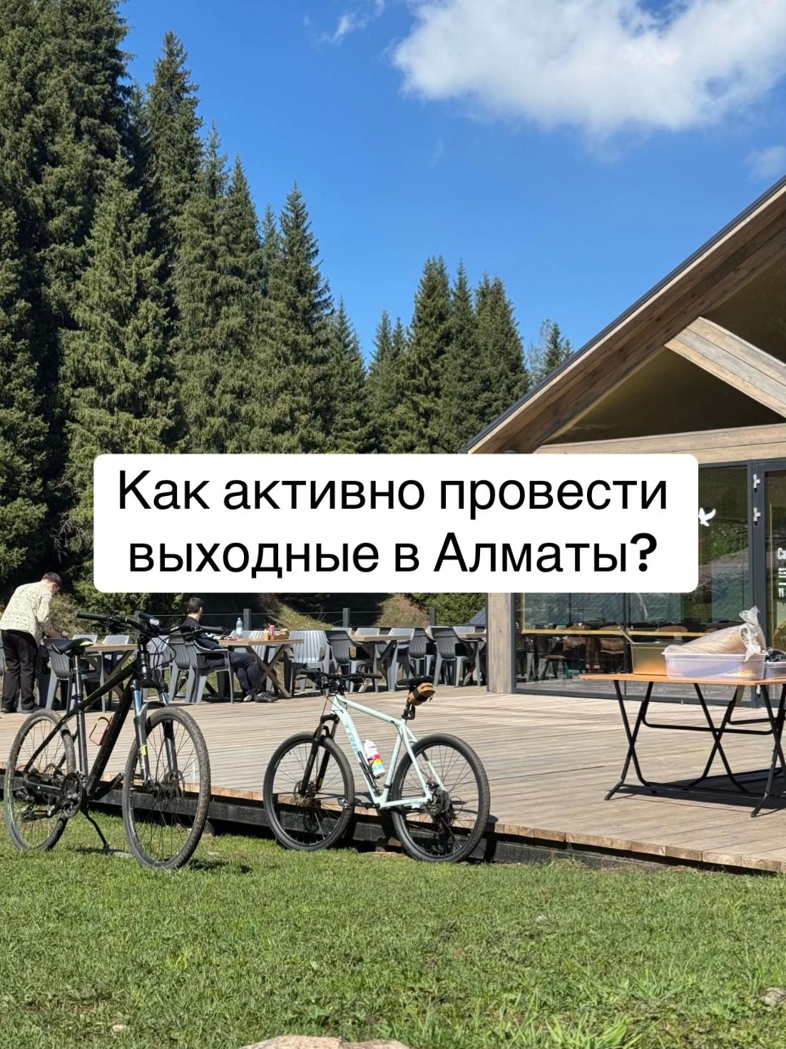 @demalu.diary