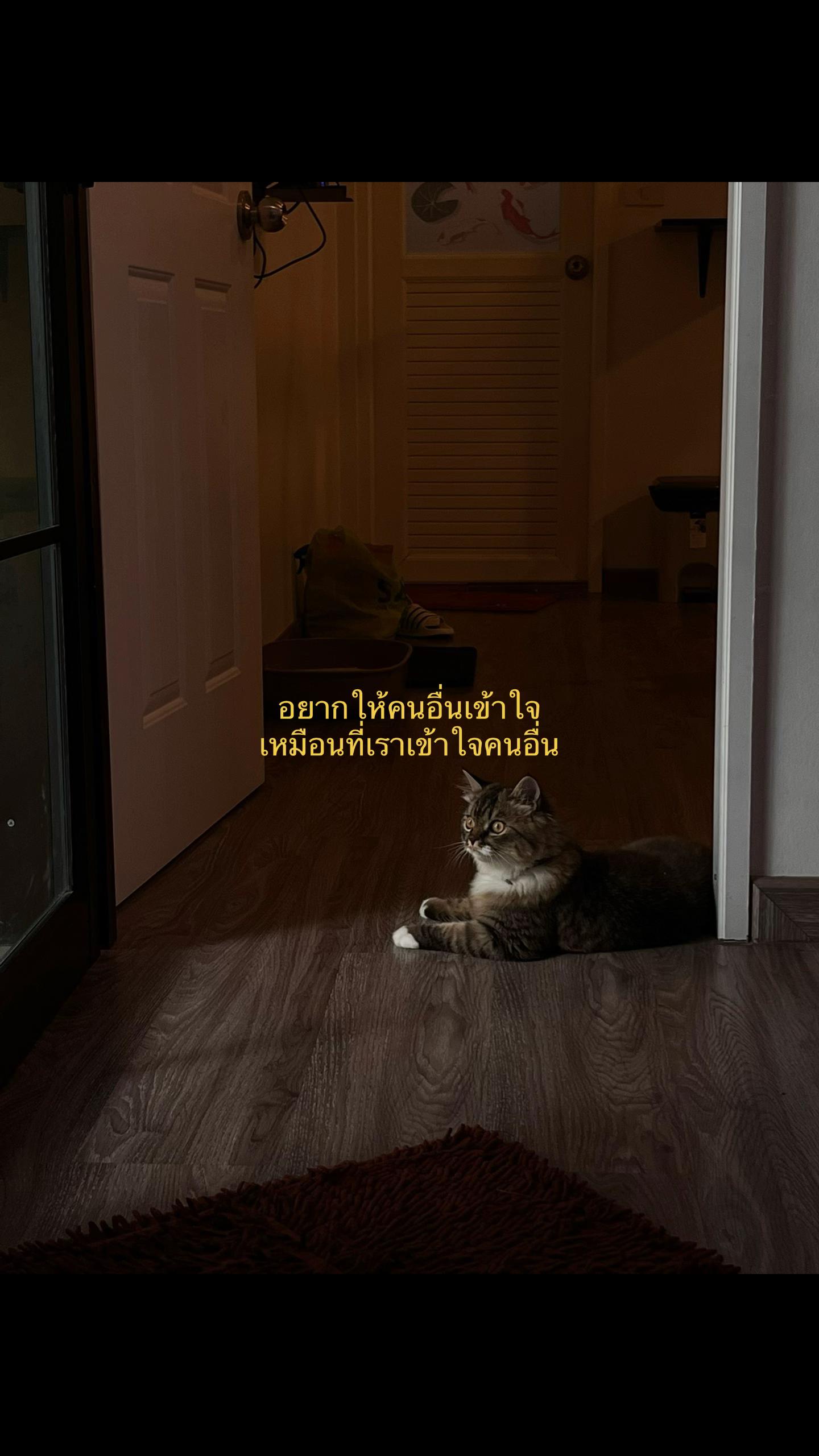 @️