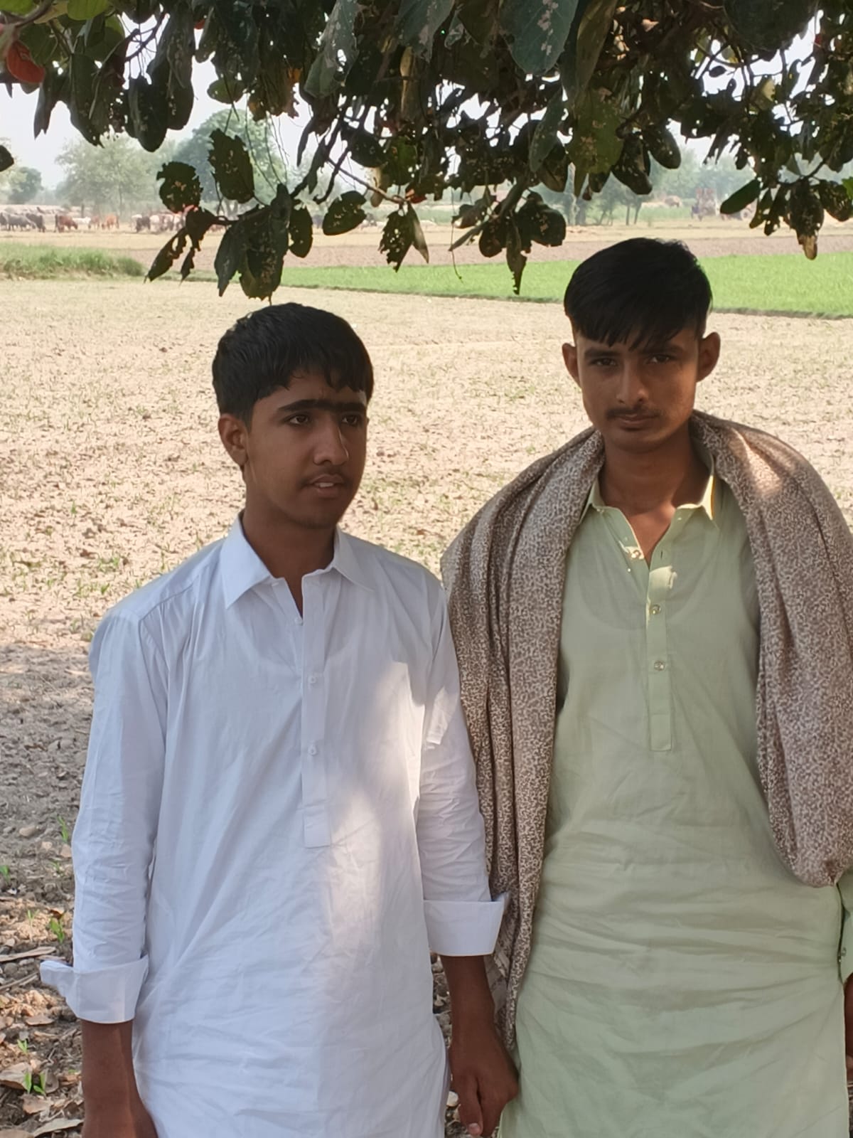 @Ch ditta gujjar