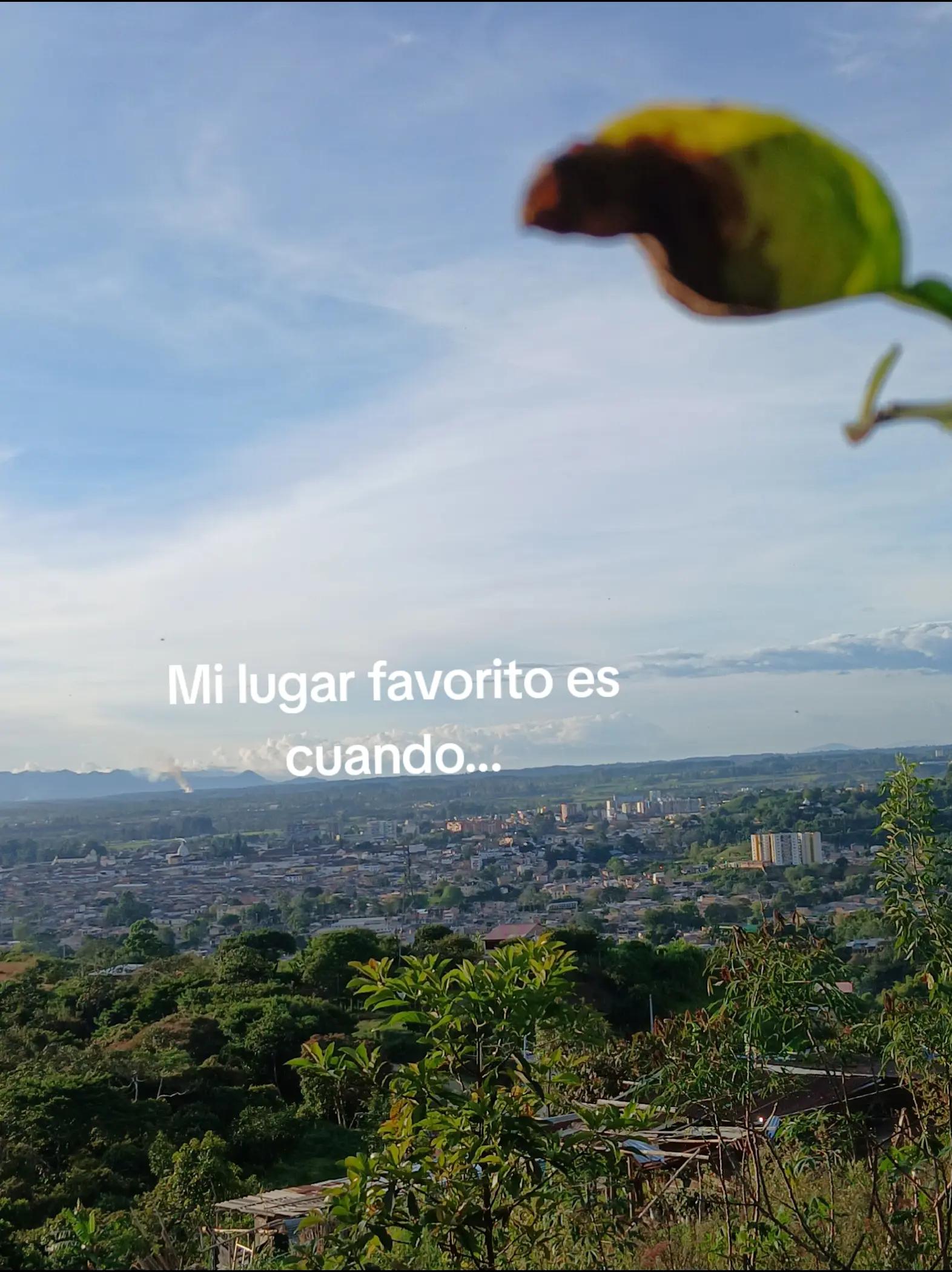 @Aleja Diaz
