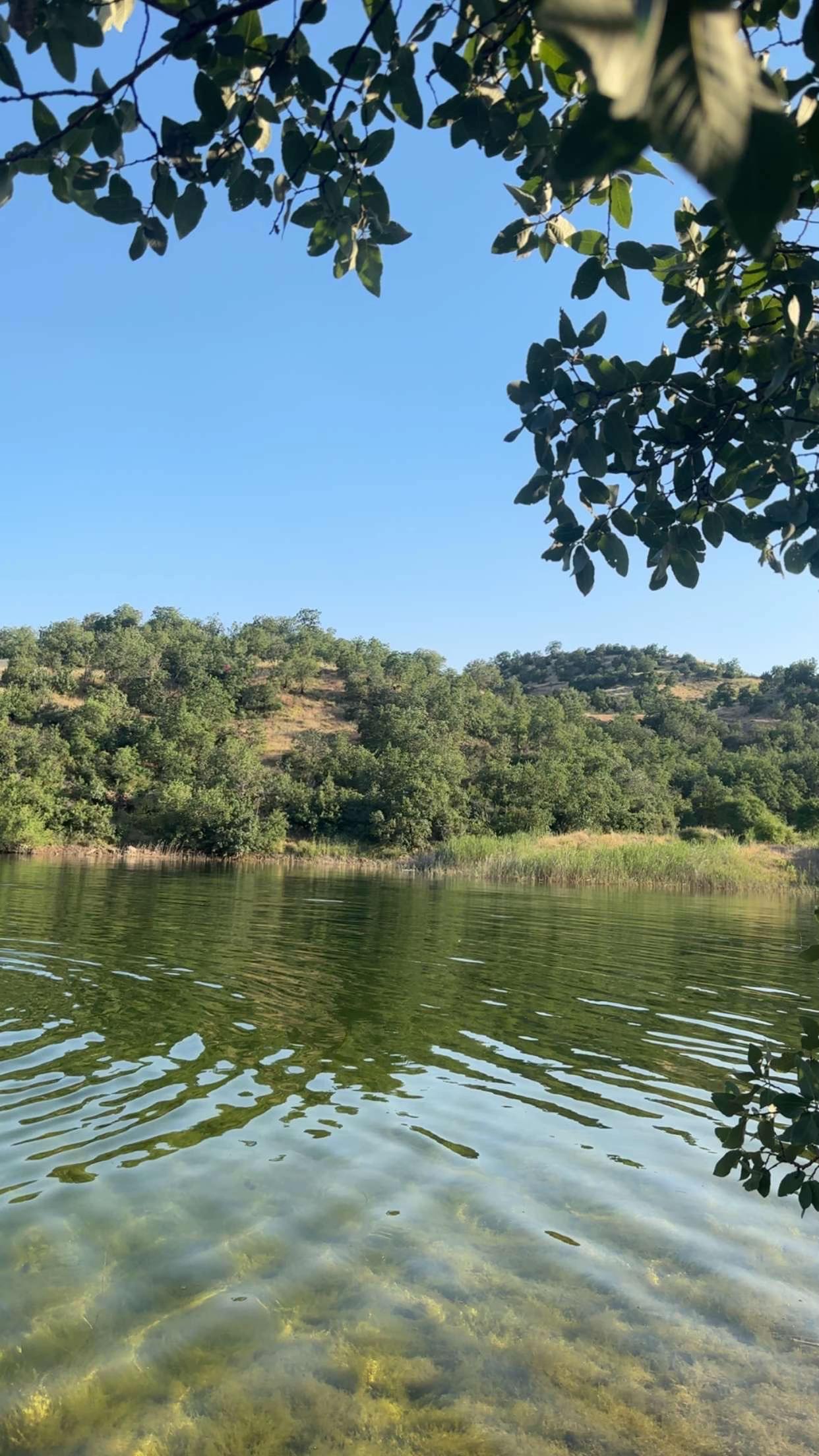 @YH