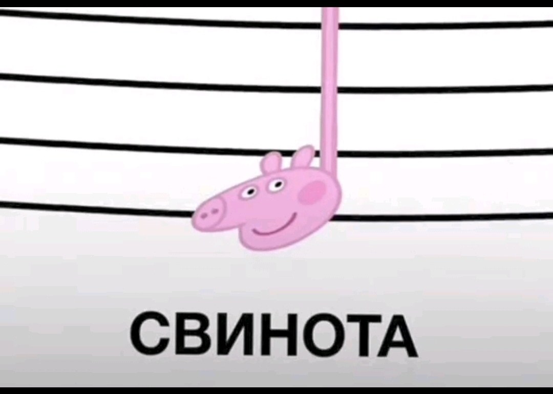 @Rider на куго