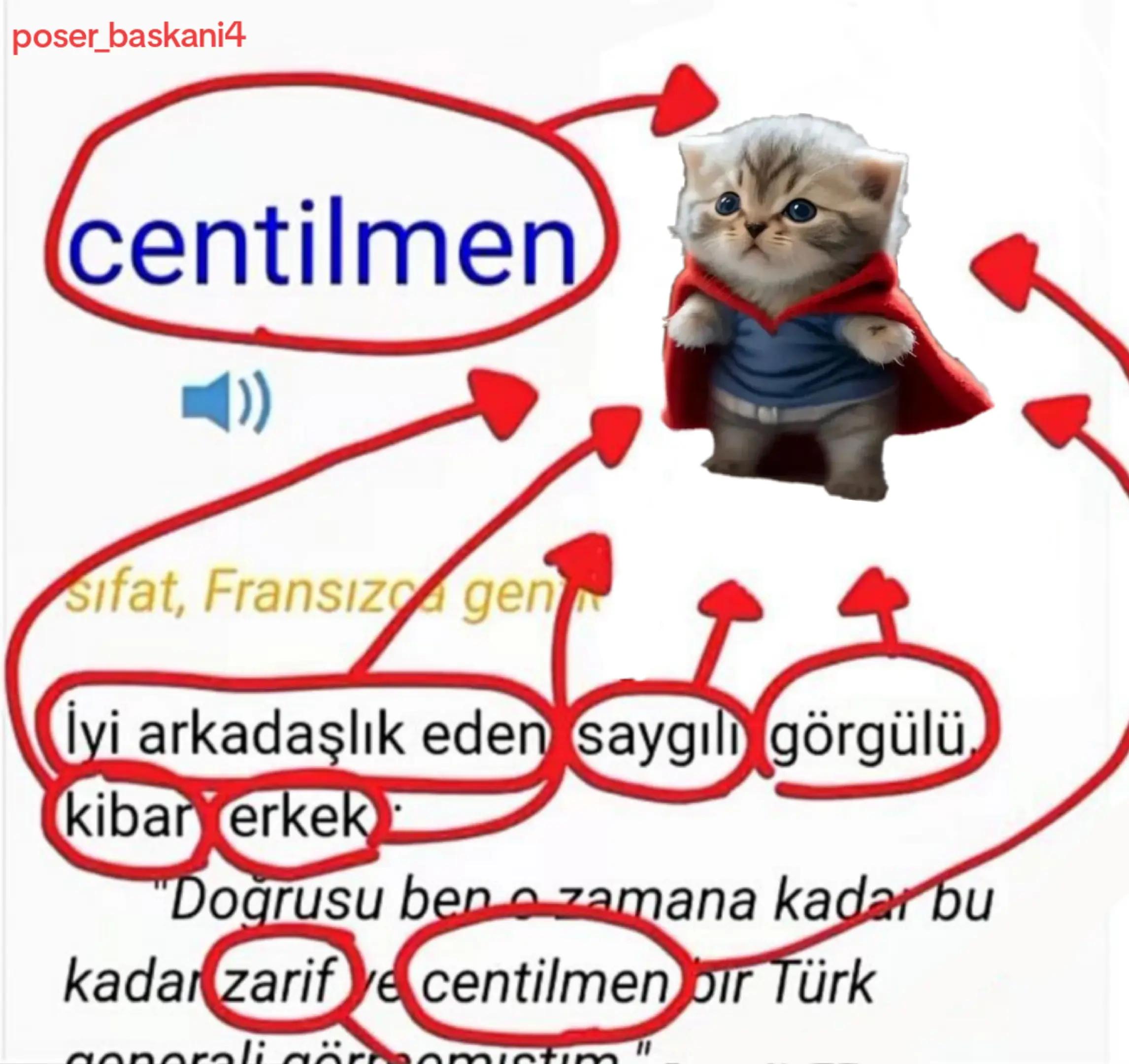 @poser_baskani4