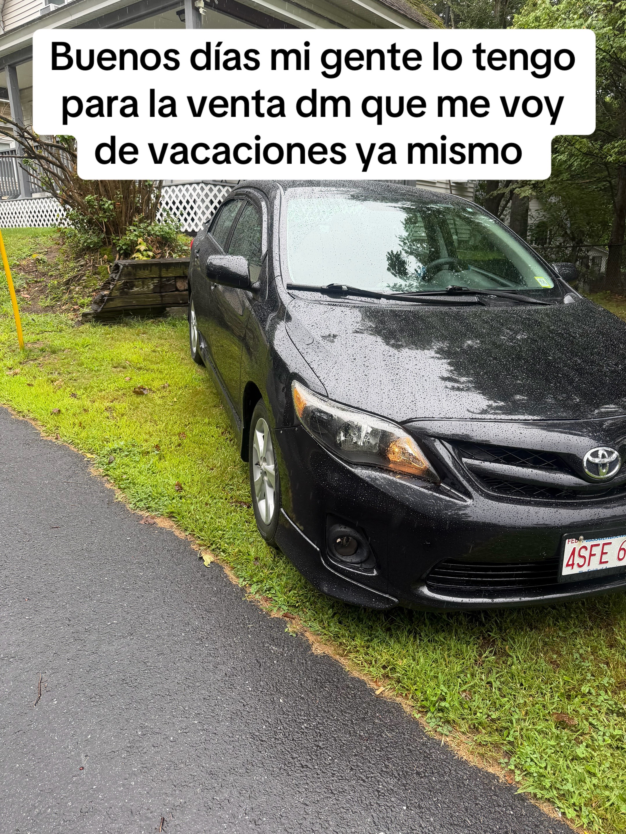 @Omy
