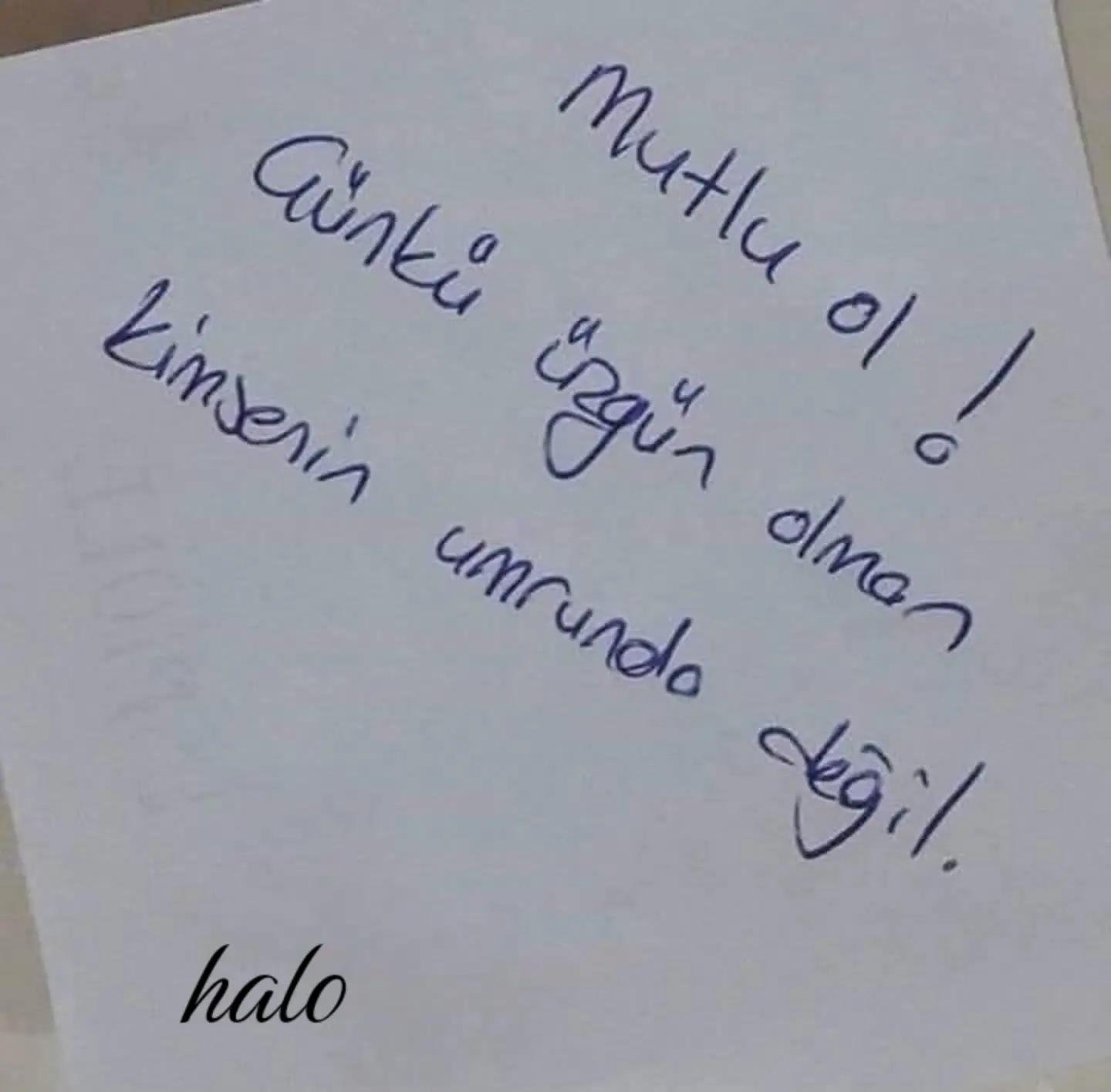 @Halo