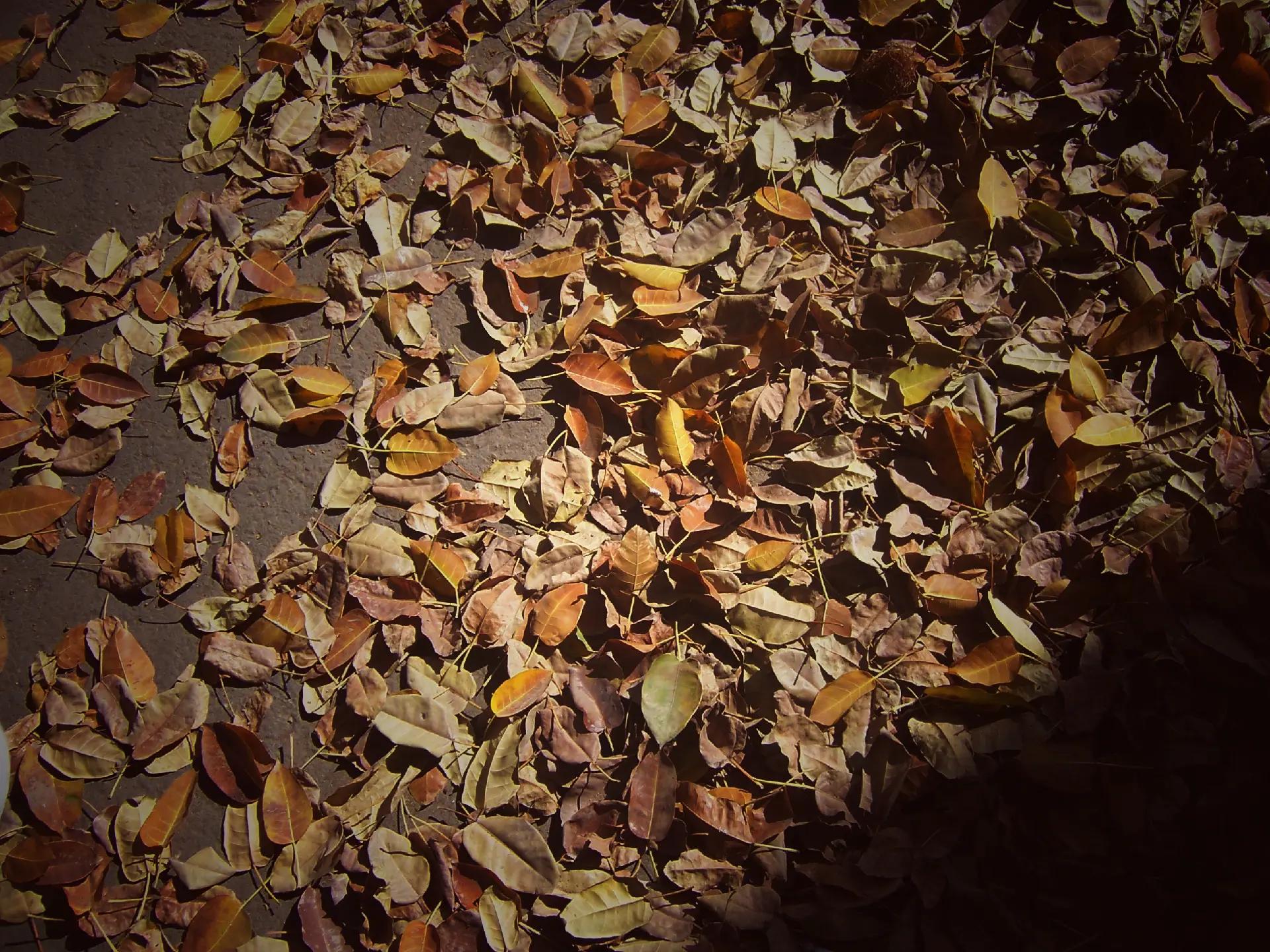 @Marwan