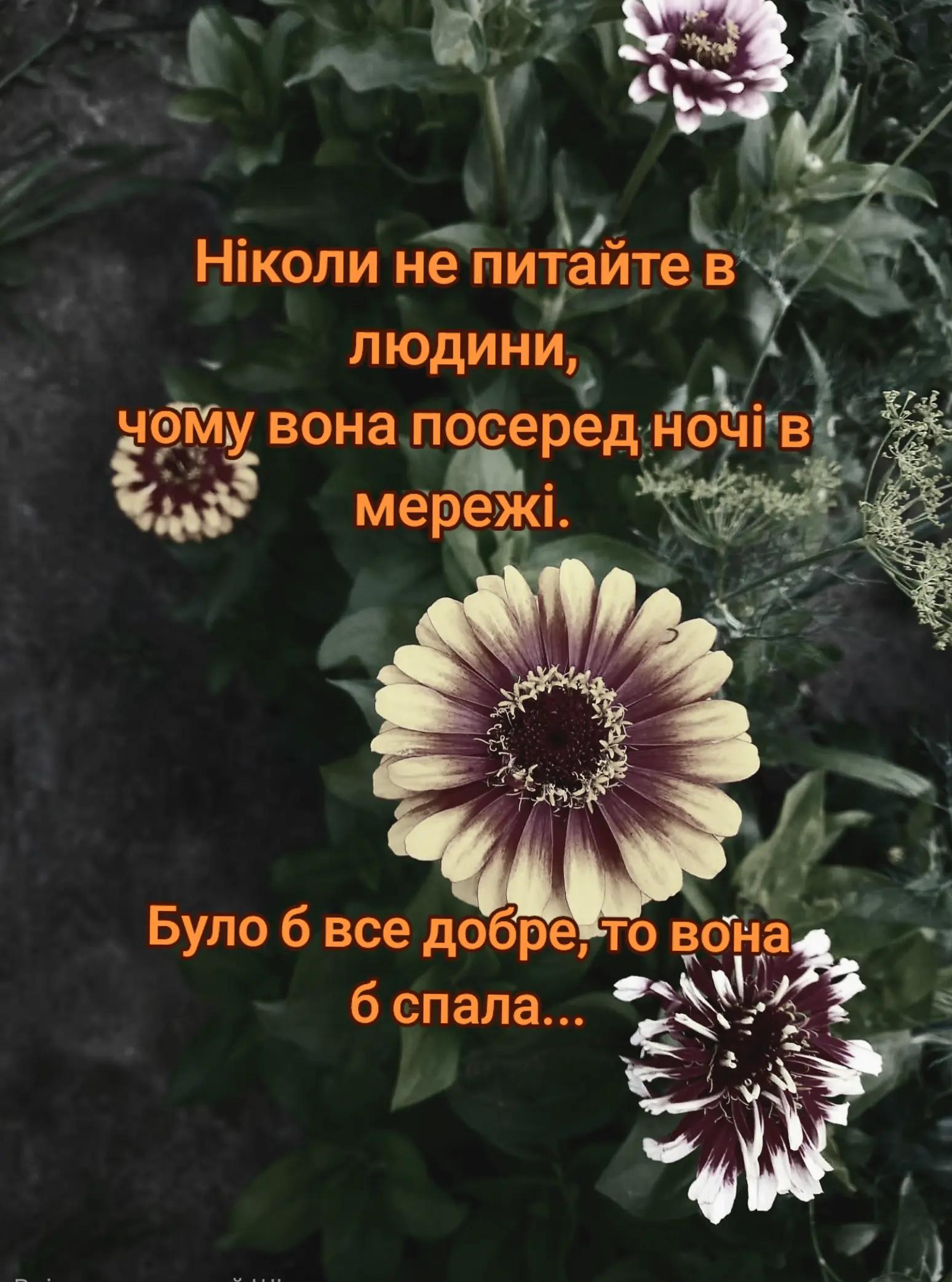 @💎Yaniks💎